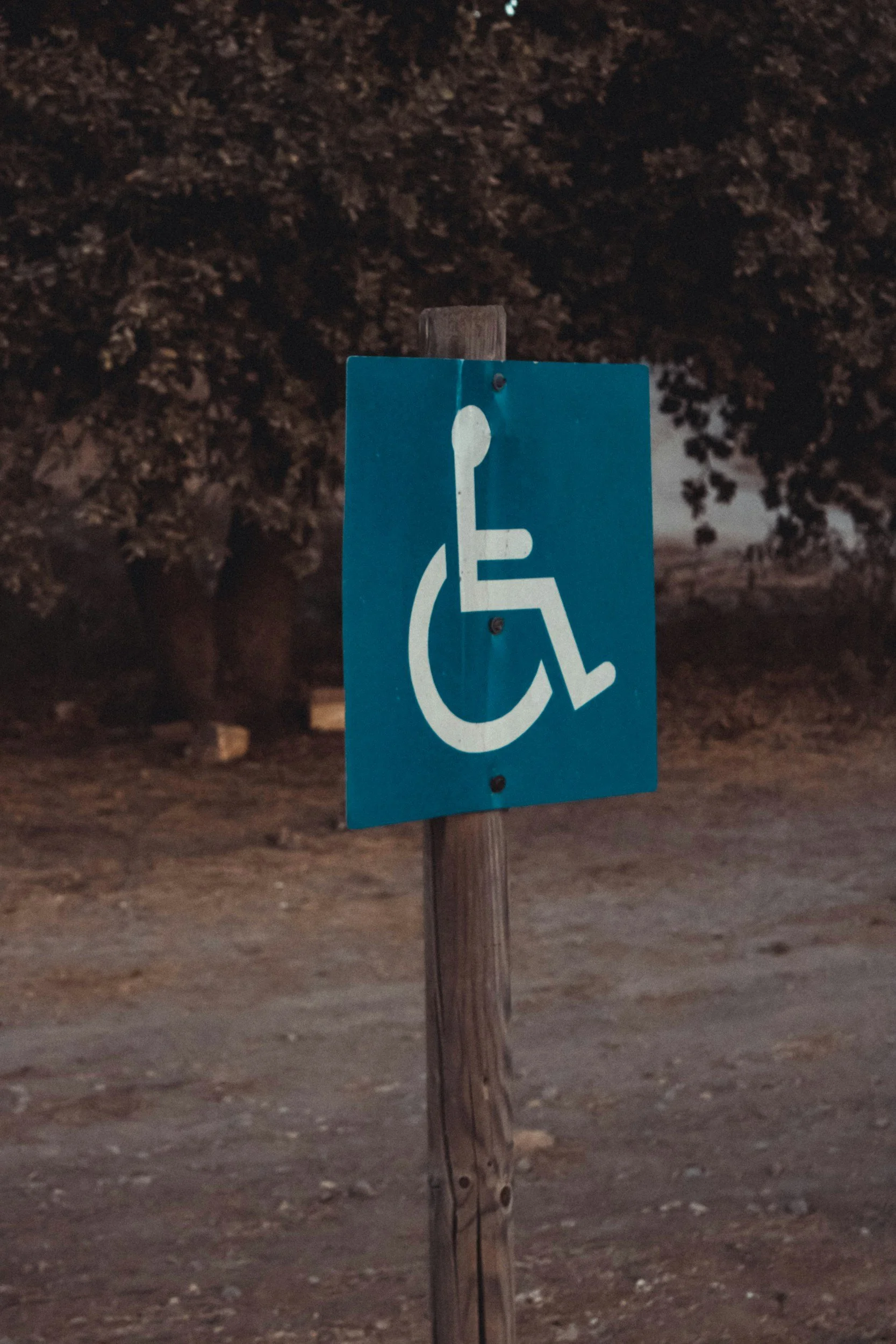 Shifting Judicial Standards: Disability Rights and Federal Protections