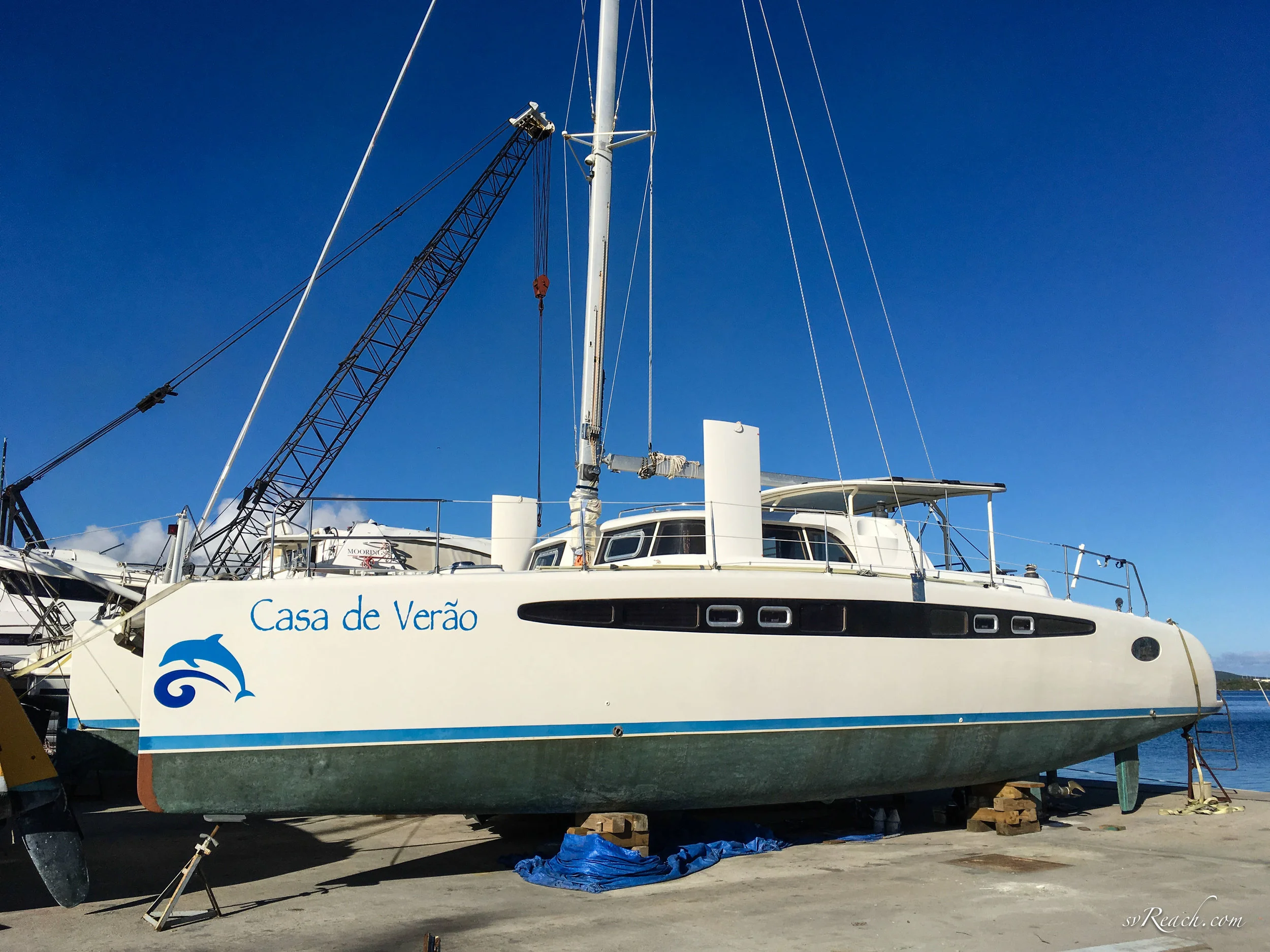 Dolphin 460