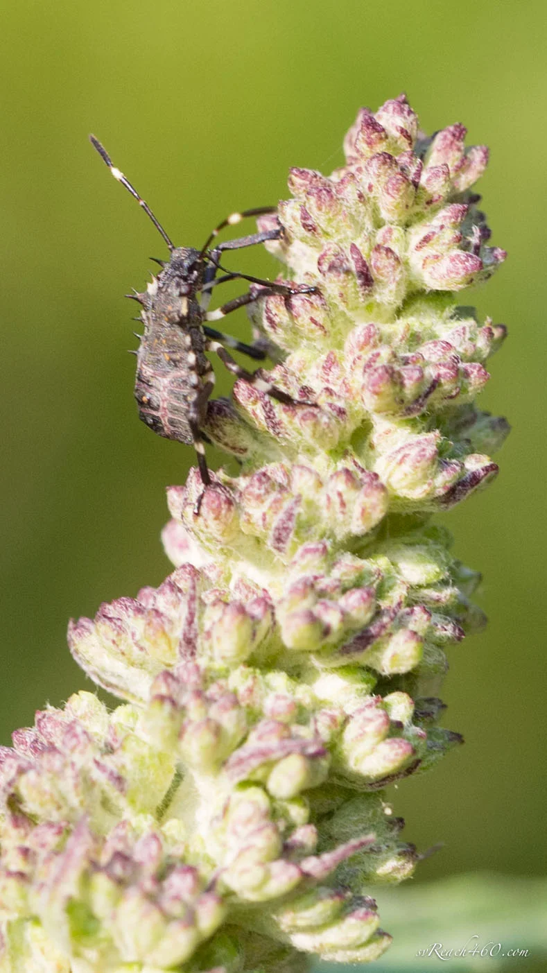 Macro fun