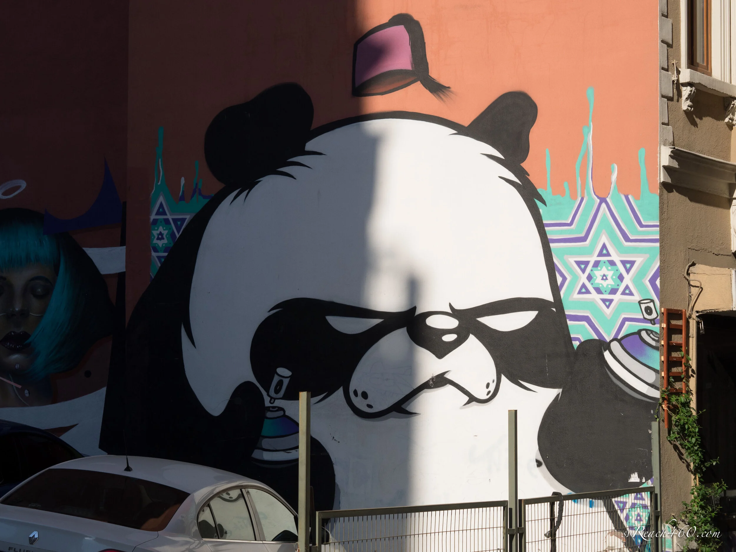 Turkish street art