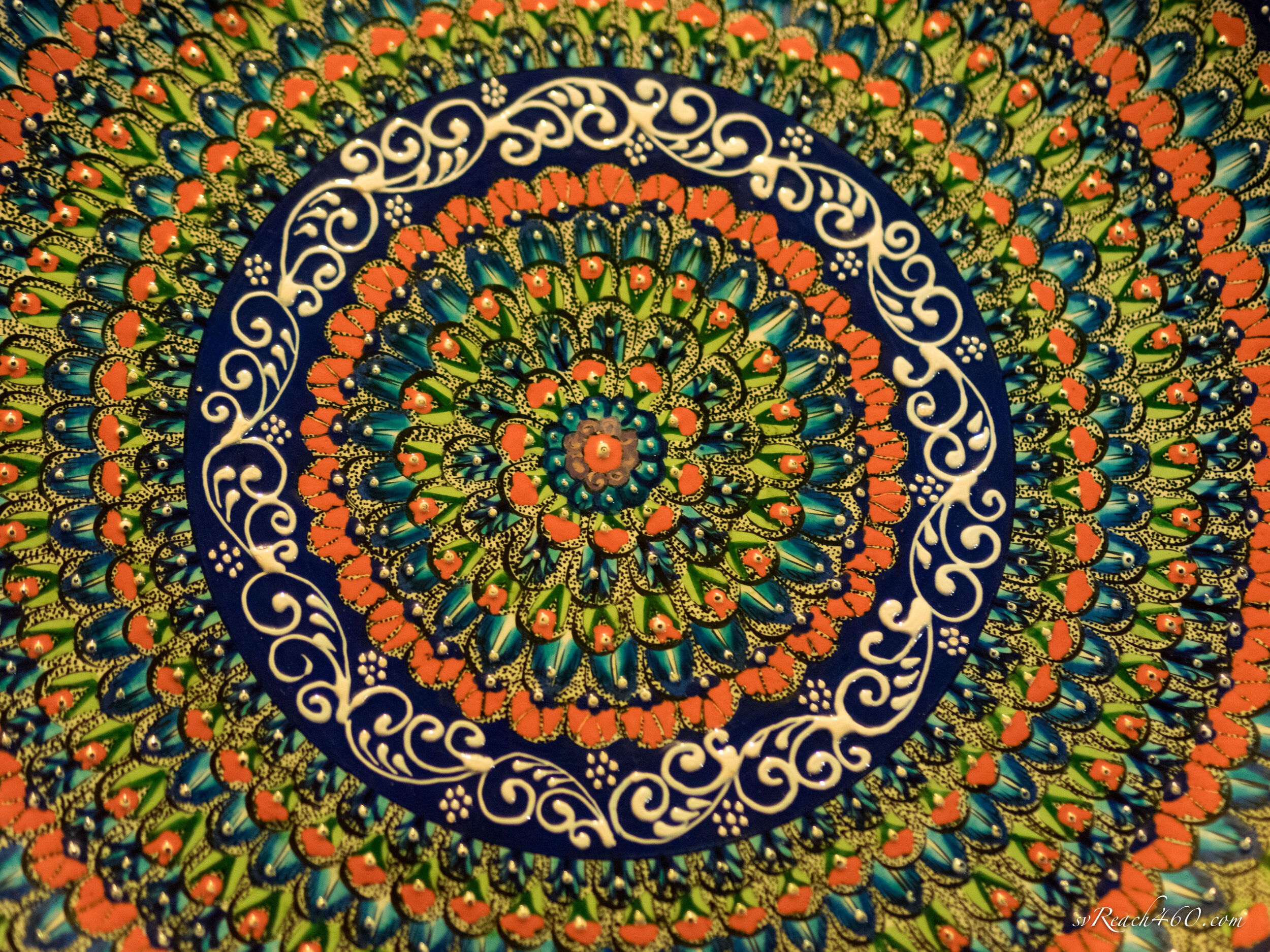 P8300464.jpg