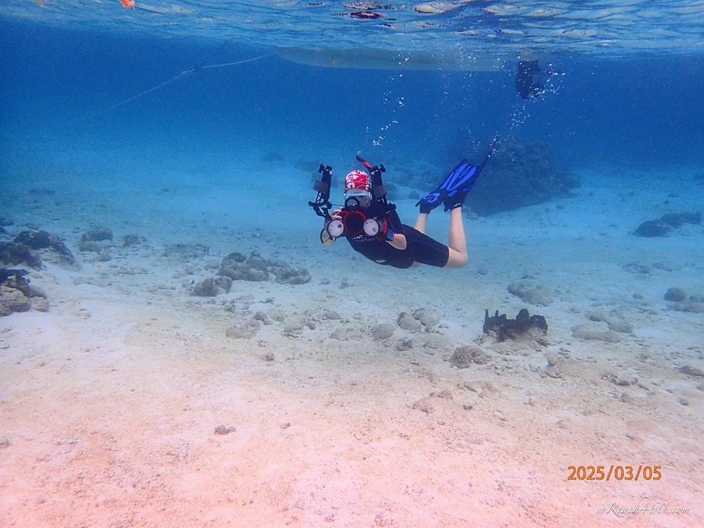 WhatsApp Image 2025-03-07 at 12.48.16 PM 2.jpg