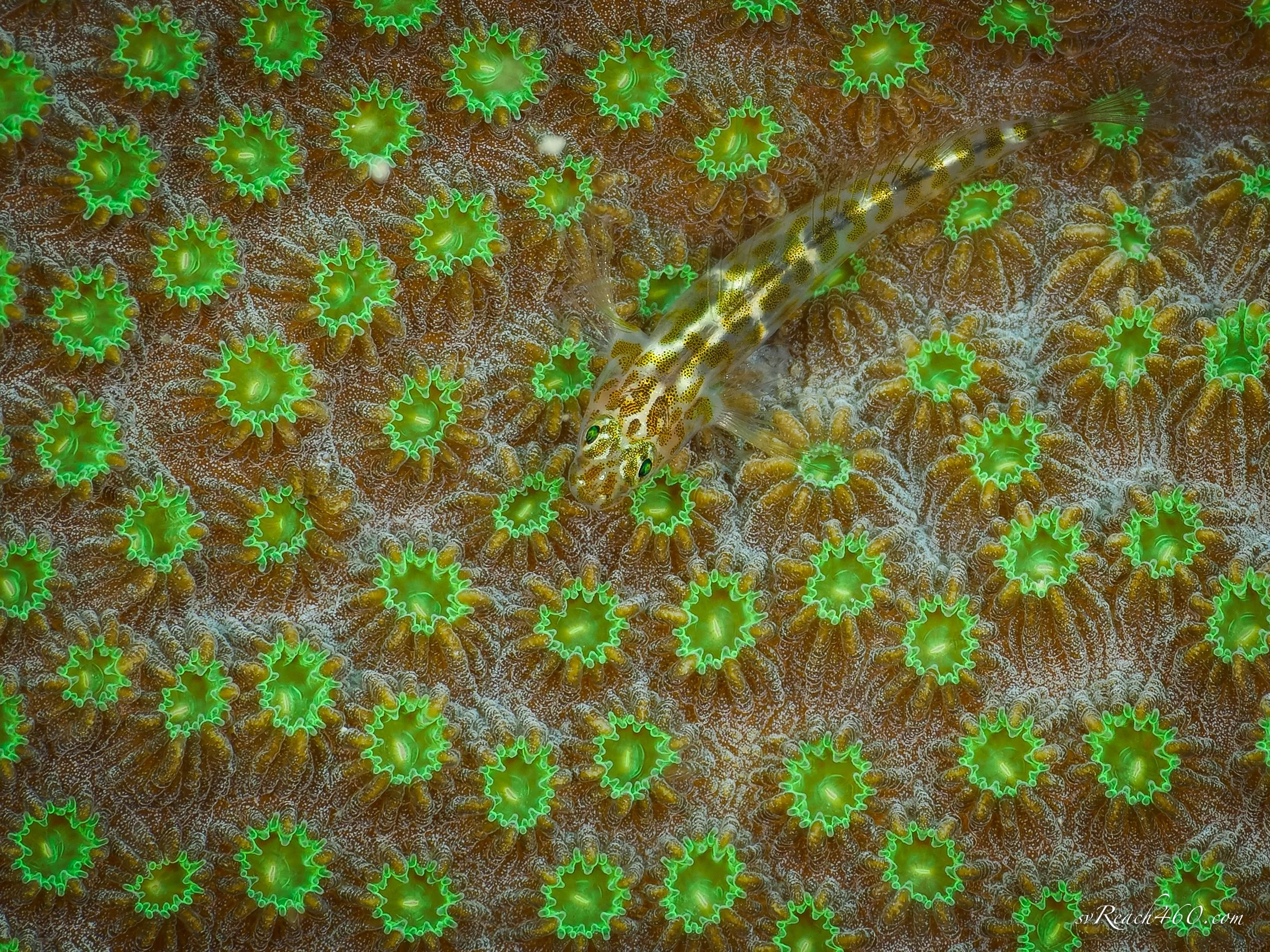 P2100738_DxO.jpg