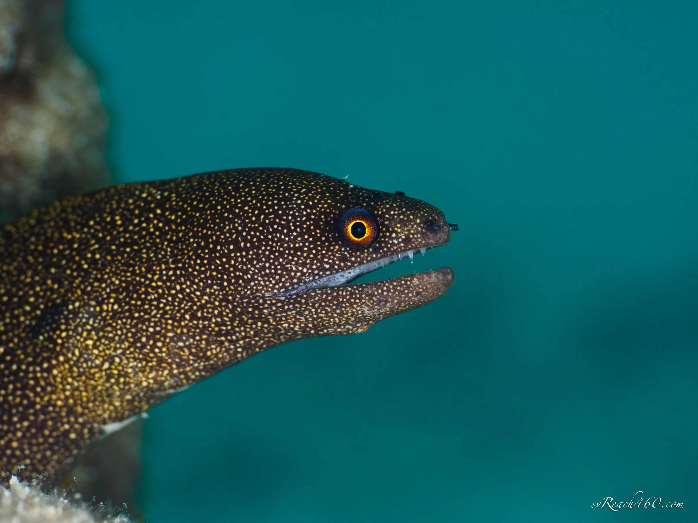 Underwater