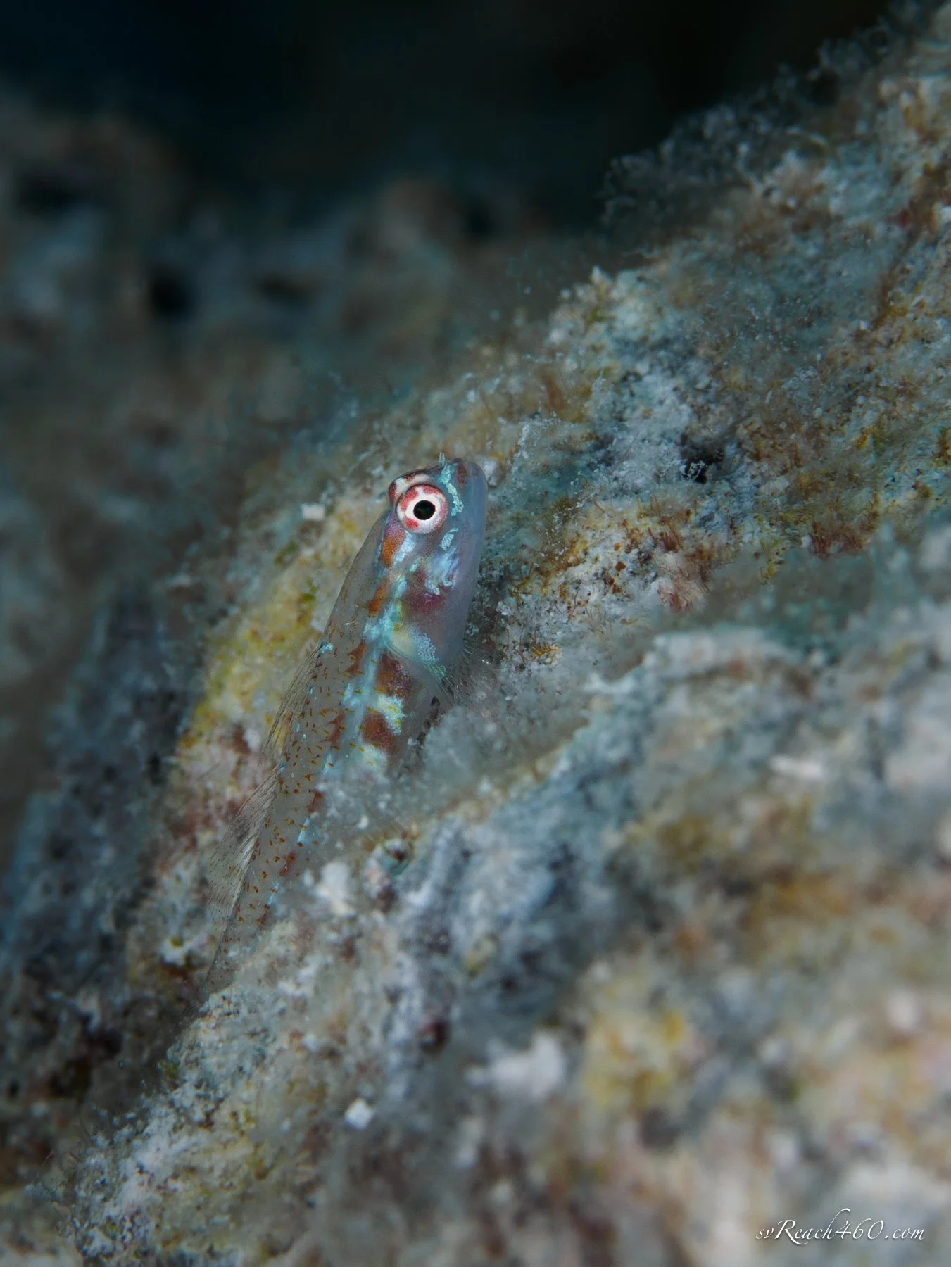 P9150415.jpg