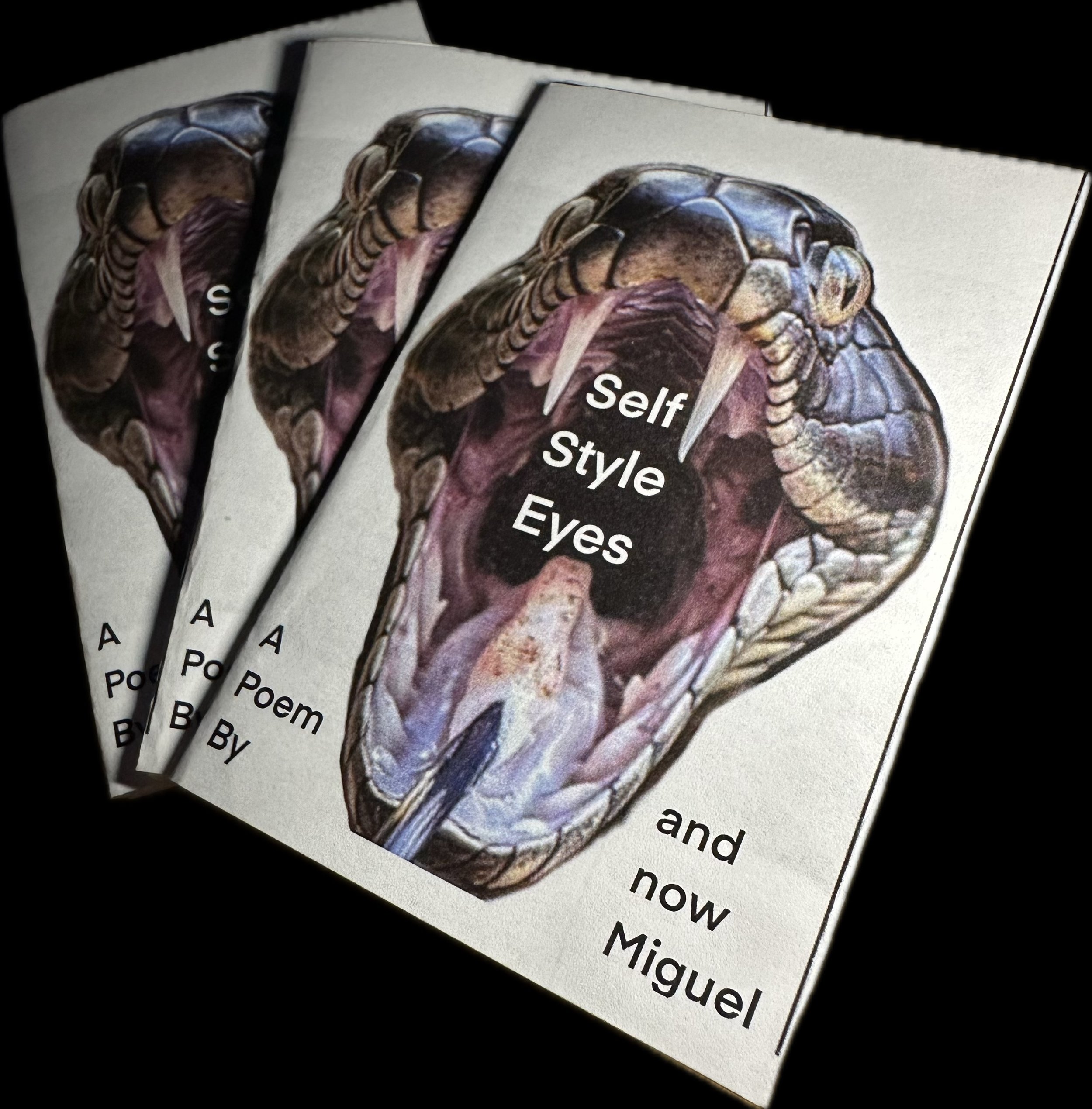 Self Style Eyes (Zine)