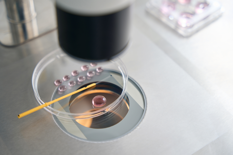 Choosing Sex: Trans Folks and Embryo Selection