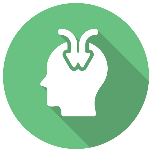 Jemini-Icon-22-C5-500px.png