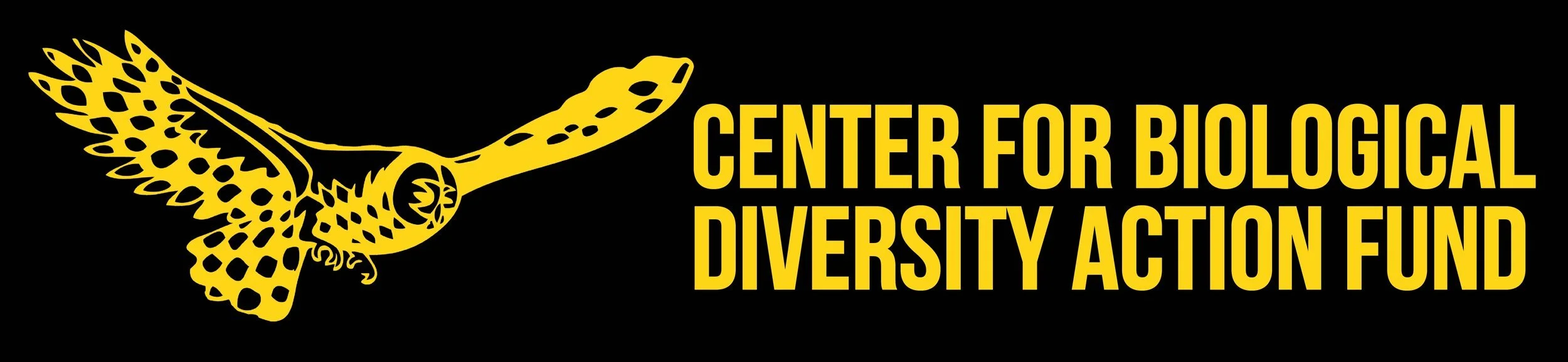 Center+Action+Fund+Logo,+black+and+yellow.jpeg