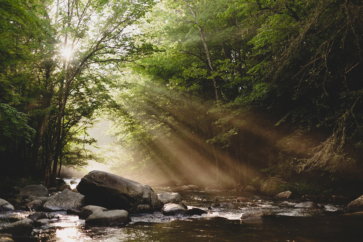 Smoky-Mountain-Photographers-JoPhoto-2.jpg