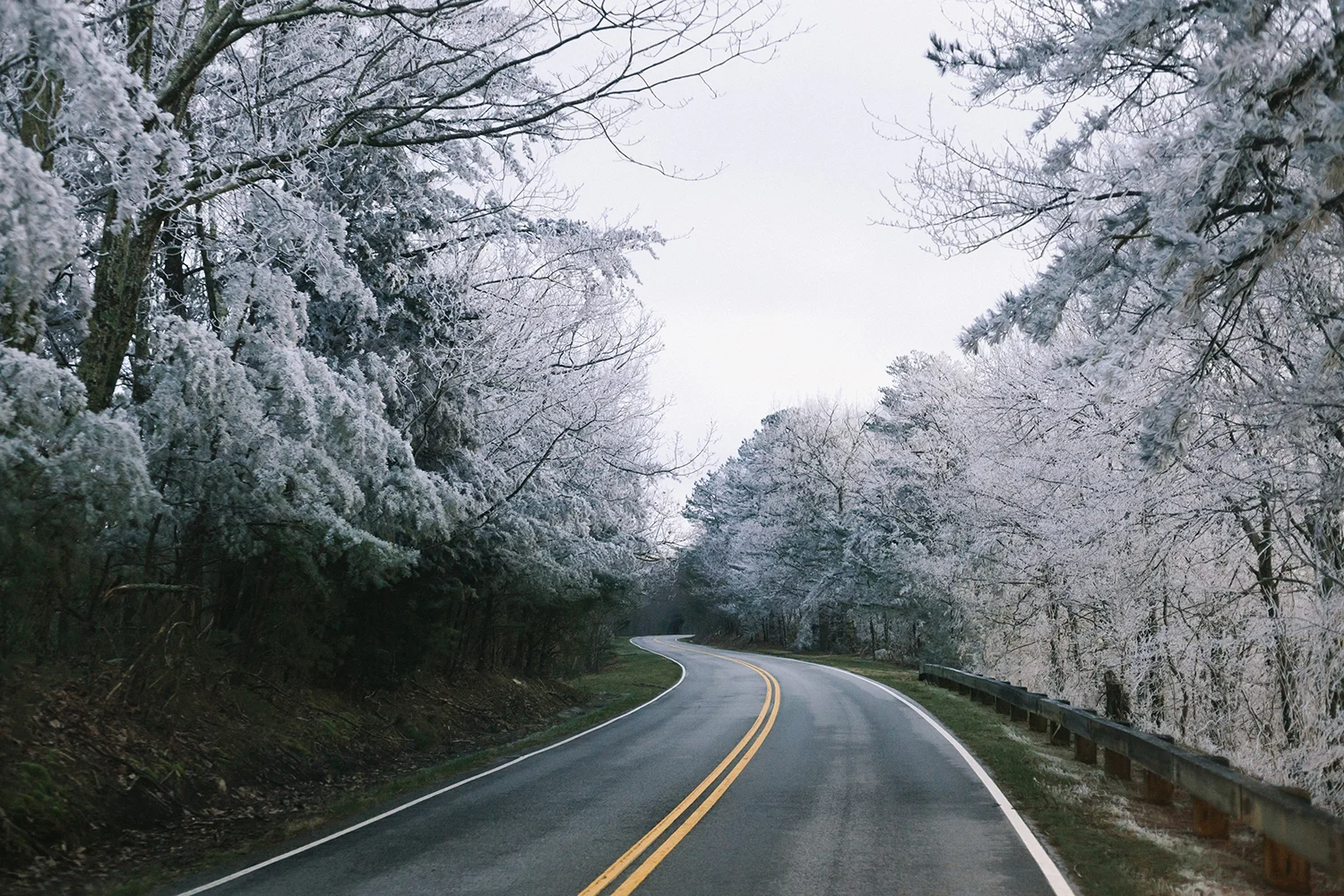 Smoky-Mountain-Photographers-JoPhoto.jpg
