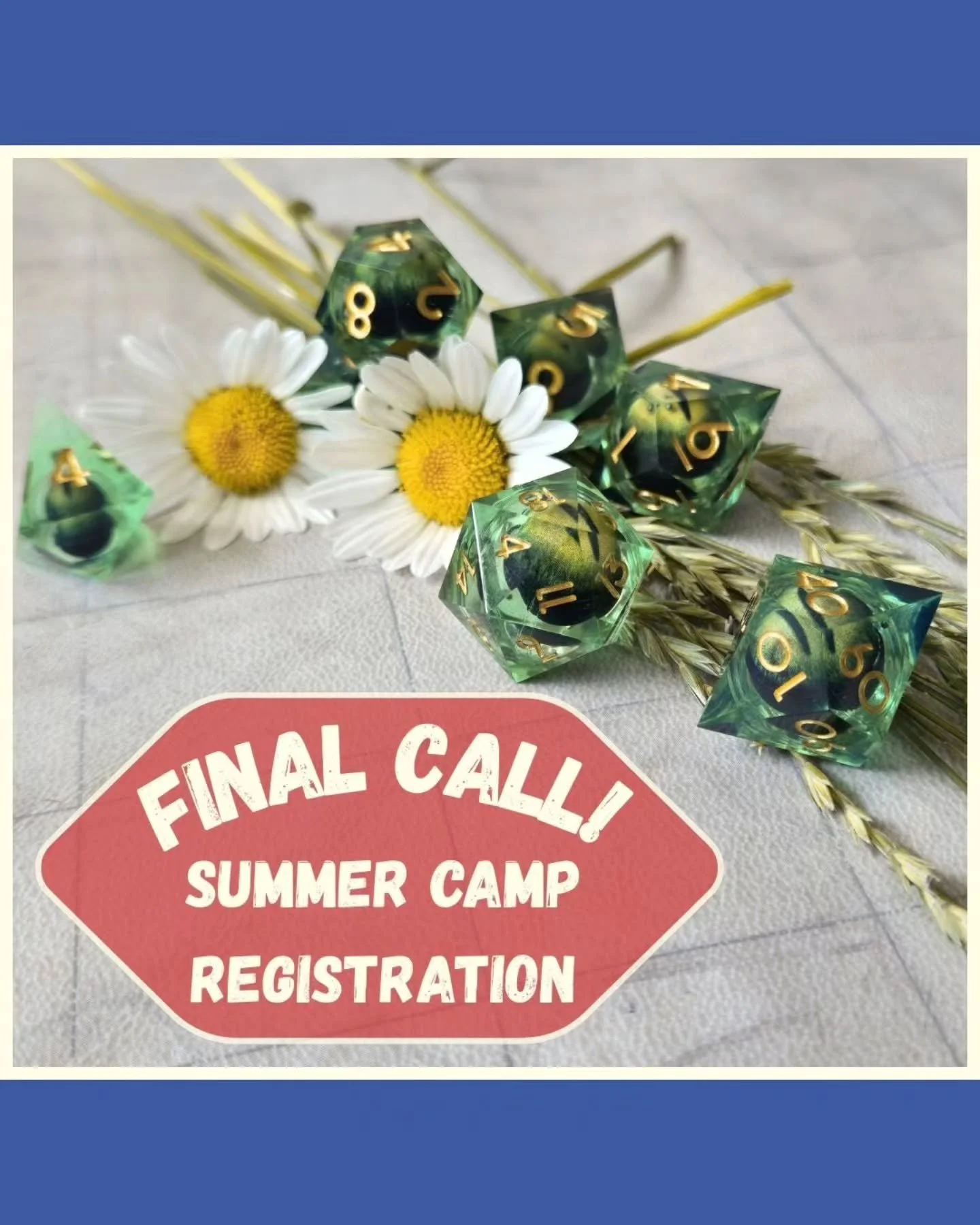 We have two spots left in this year's summer camp! Come join us on August 18th-22nd at Bridgeland Riverside Community Association from 9am-4pm. Our summer camp involves a week-long campaign, as well as crafts and games designed to provide an all-in D