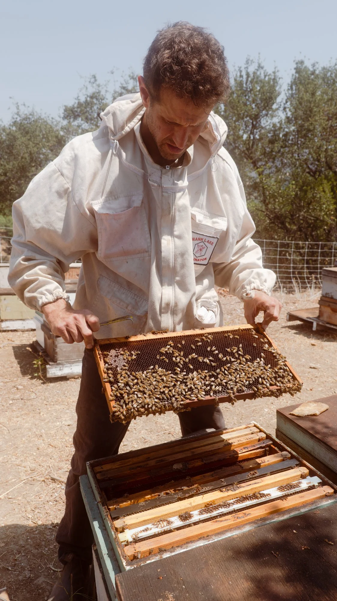 Lydia Hall Lumix S1 re_grocery - elis bees raw black sage honey B-85.jpg