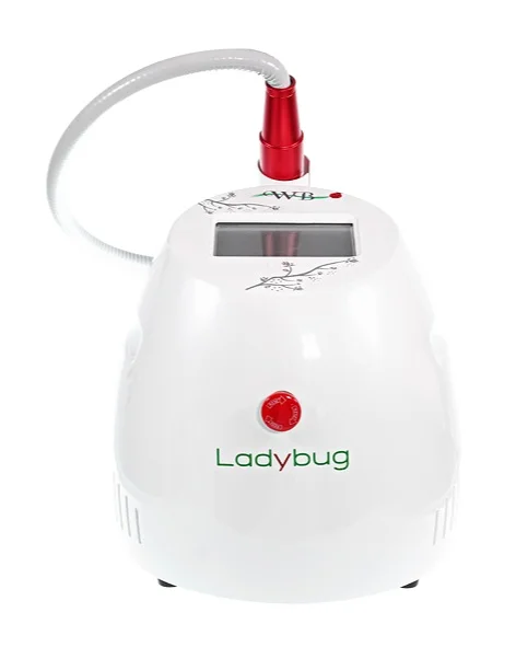 Ladybug_sem_fundo.jpg