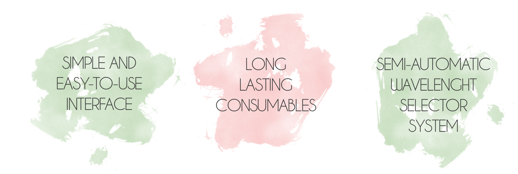 bolinhas ENGLISH.png