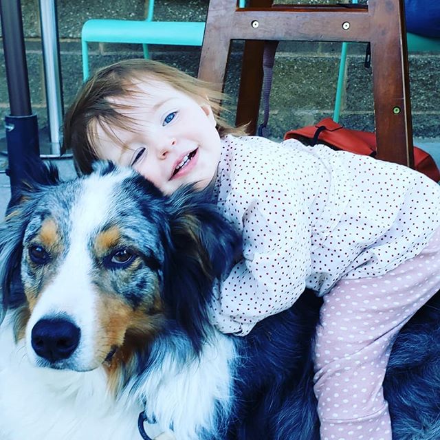 Affection comes after Respect and when it is in that order it is more than you can ask for!

#intheflowk9 #GregoryScottK9 #baby #toddlers #cute #australianshepard  #training
#trainyourdog #discipline
#disciplineequalsfreedom