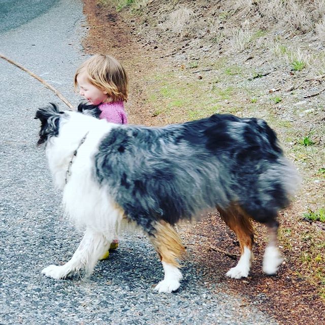 Learning about 
Luring
Motivation 
Boundries
Body Lanuage and
Moving with Intention 
From a Young Age!

#intheflowk9 #dogtraining #family #kidsanddogs
#familybusiness