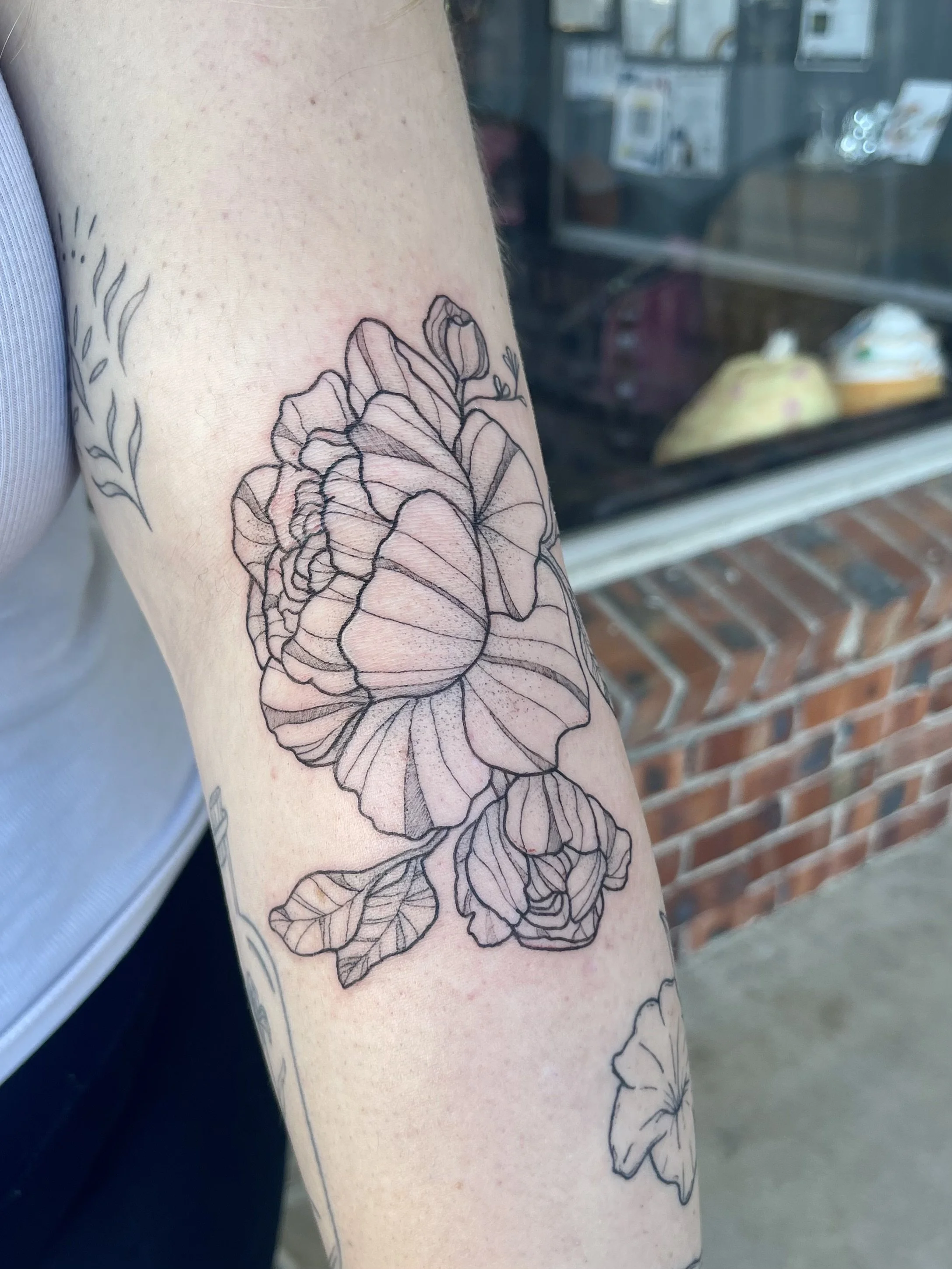 peony.JPG