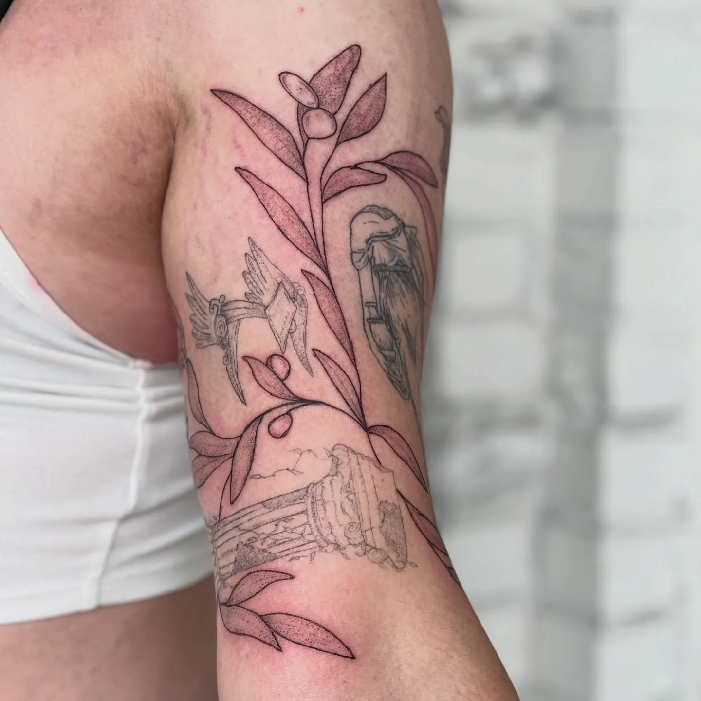 Some olive branch gap filler for Bella 😌 Surrounding a bunch of healed pieces 🤍 We&rsquo;ve been working on this half sleeve for a while and it&rsquo;s almost complete! 

#ancientgreece #botanicaltattoos #finelinetattooartist #denvertattoo