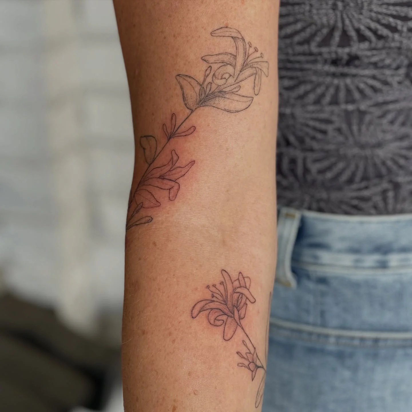 added some more blooms and leaves to this freehand honeysuckle vine 🥹 thanks for being so sweet 🖤

#botanictattoo #floraltattoodesign #denverart #finelinetattooartist