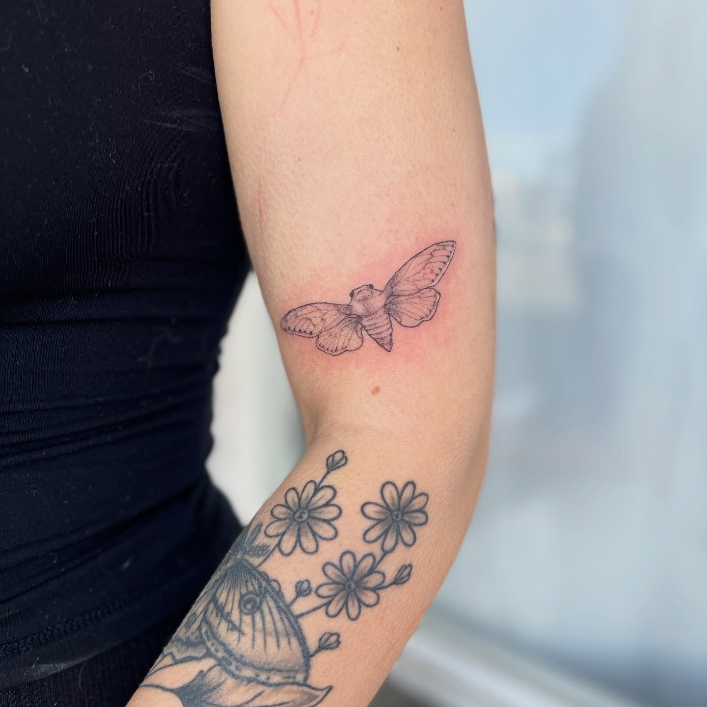 some lil CUTIES for Rowen&rsquo;s sticker sleeve. Cannot wait to add more 🥰🥰🥰 

#denverartist #botanicaltattoos #finelinetattooartist