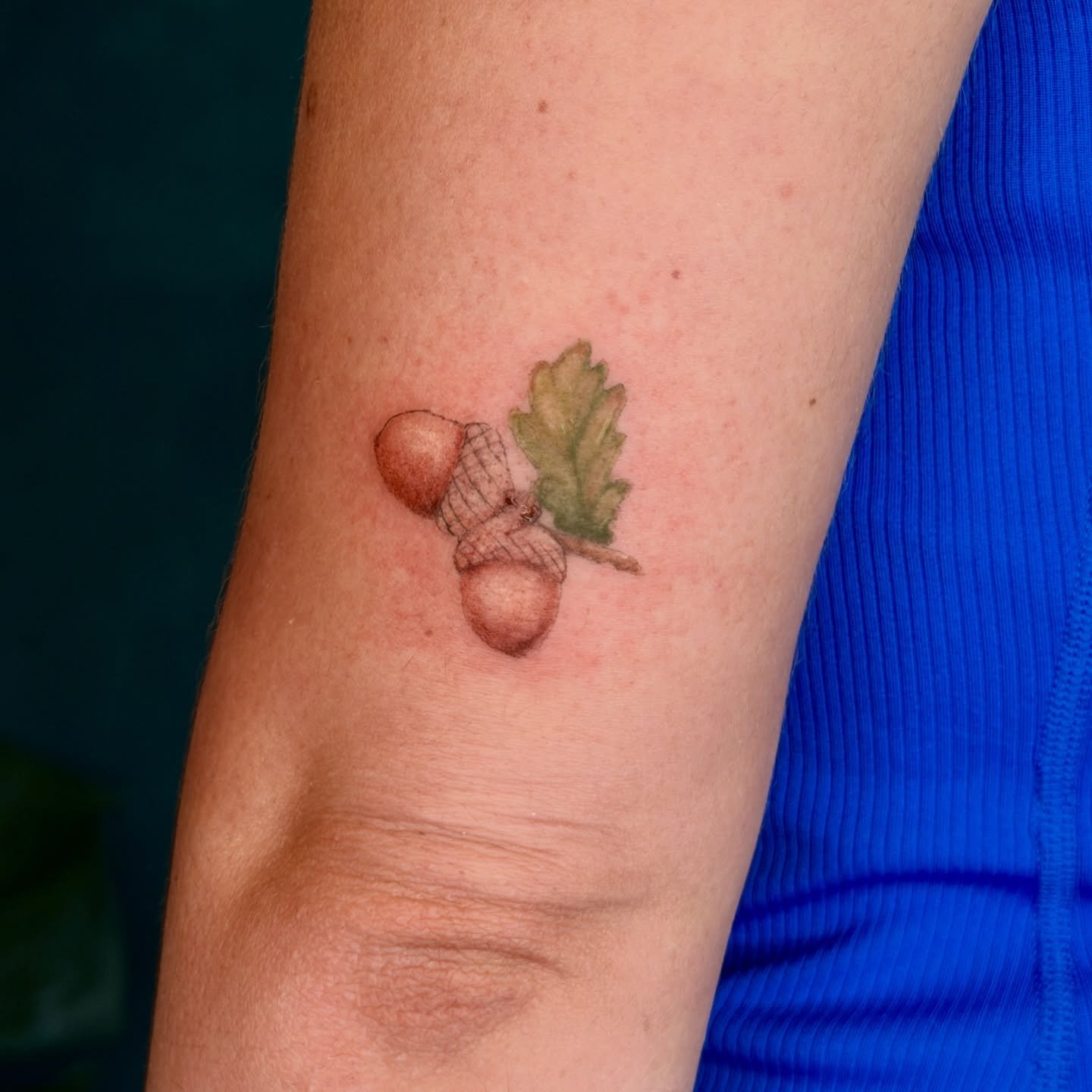 I loved this so much I had to post it immediately. a tiny acorn bundle from yesterday 🥹 

I would love to do more color realism! Big or small!! 🖤

Luminary Tattoos; creating color realism botanical tattoos in Denver Colorado ✨
