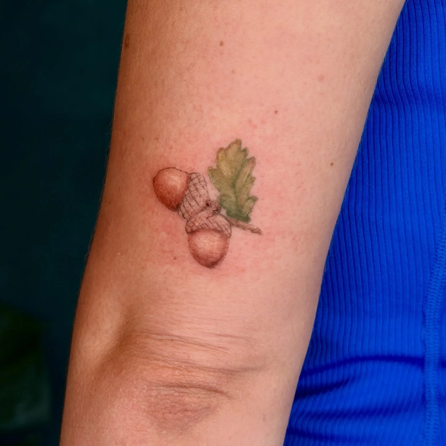 I loved this so much I had to post it immediately. a tiny acorn bundle from yesterday 🥹 

I would love to do more color realism! Big or small!! 🖤

Luminary Tattoos; creating color realism botanical tattoos in Denver Colorado ✨