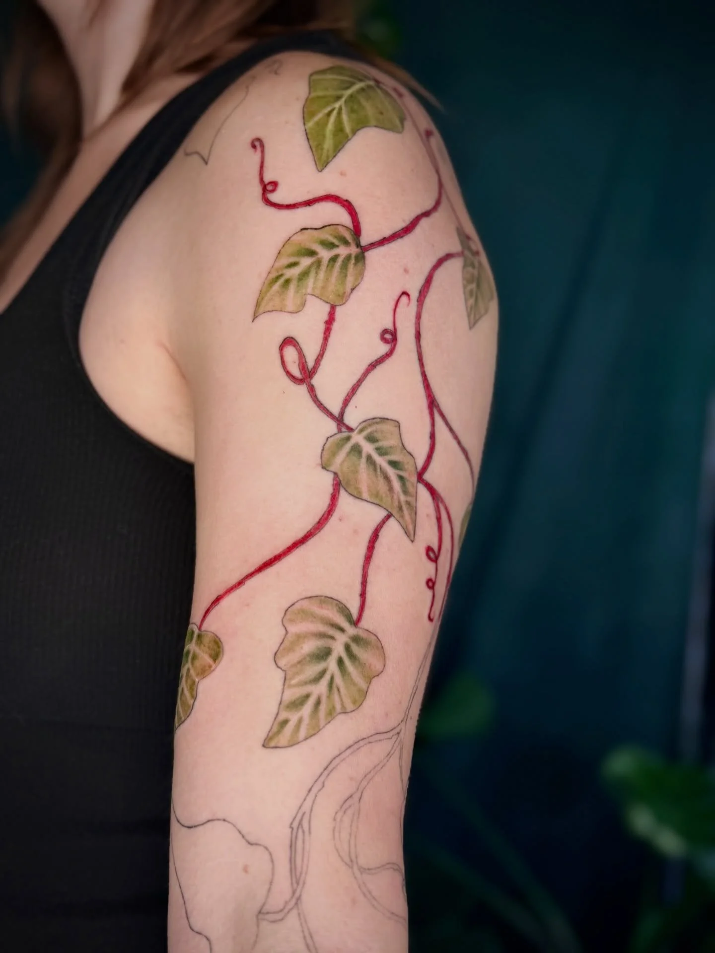 remember that time I said I probably wouldn&rsquo;t do color lol fun times 

Some finished, some WIPs, January dump. 🖤

#botanicaltattoo #floralandfauna #colortattoo #coloradoart