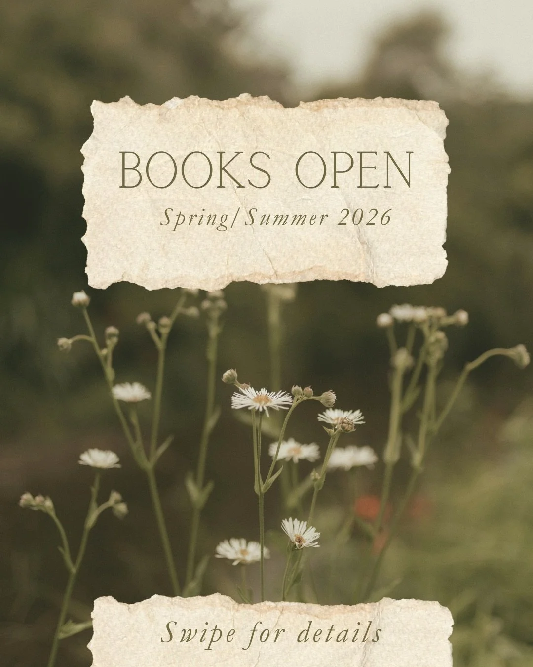 Now booking May 2026 and onward!! 🌼 I&rsquo;m ready for customs and flash, black and grey, color whatever you&rsquo;d like! 🥰

Head to my booking 🔗 to submit a form! 

#denverartist #botanicaltattoos #floraltattoodesign