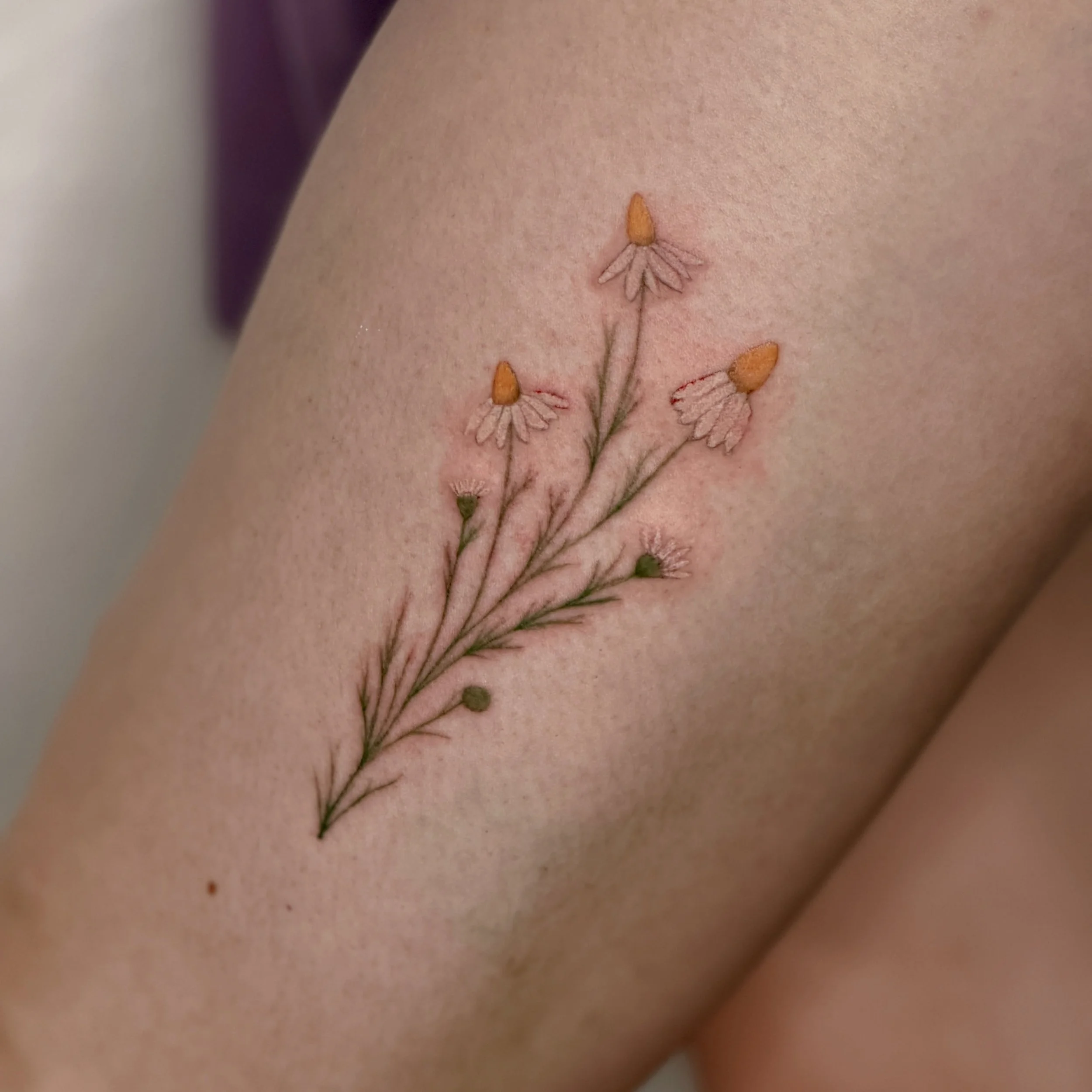 We finished this chamomile this morning and I thought this would be a great opportunity to explain why I always do at least two sessions even with small tattoos like this; ⬇️

The second photo is after the initial session. We got the tattoo down, you