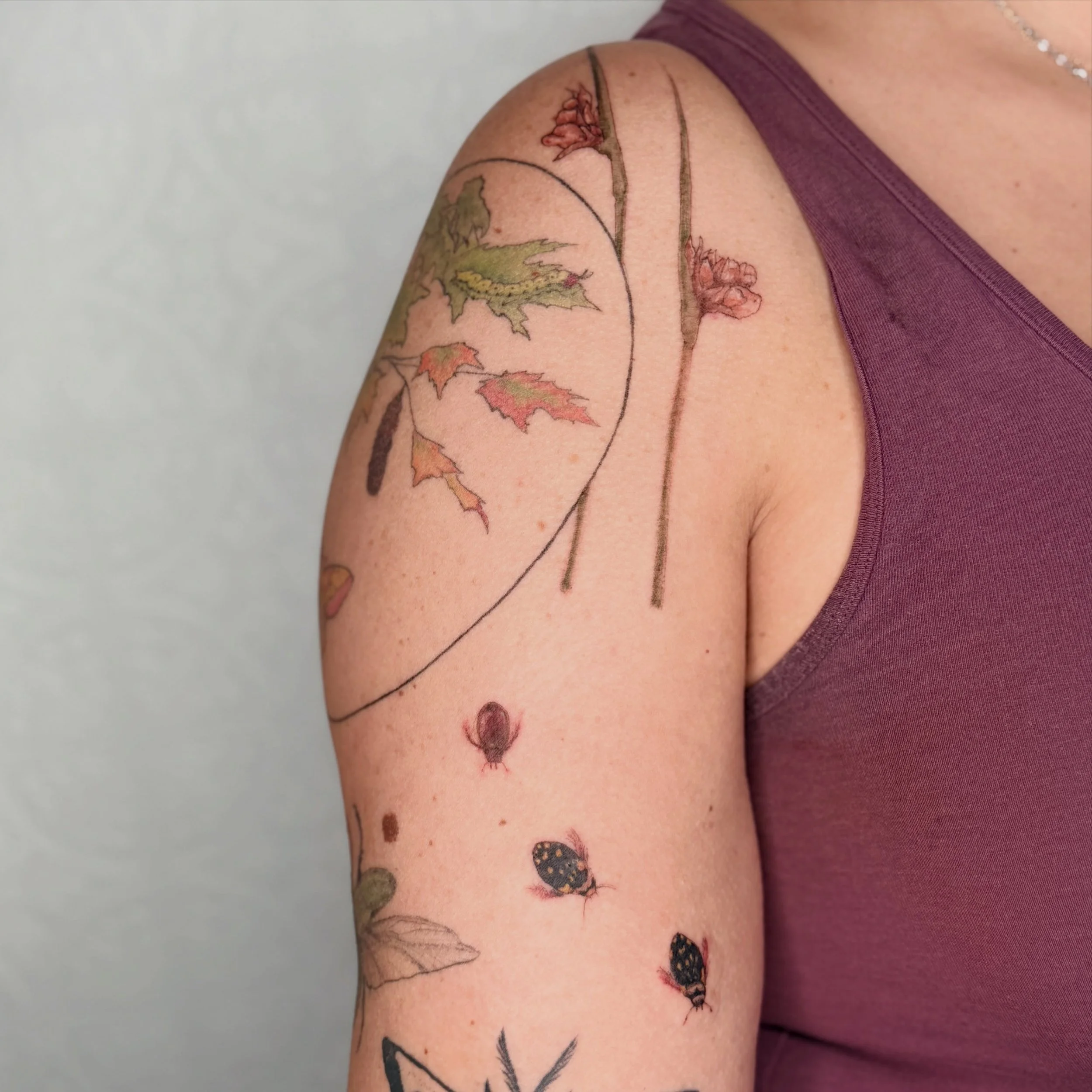 started a cool aquatic insect scene today! The diving beetles may be my favorite 😍more to come soon! 

I LOVE IT WHEN MY CLIENTS ARE THE COOLEST AND COME UO WITH BRILLIANT IDEAS 🪲 

#bugtattoos #entemology #divingbeetle #denvertattoo