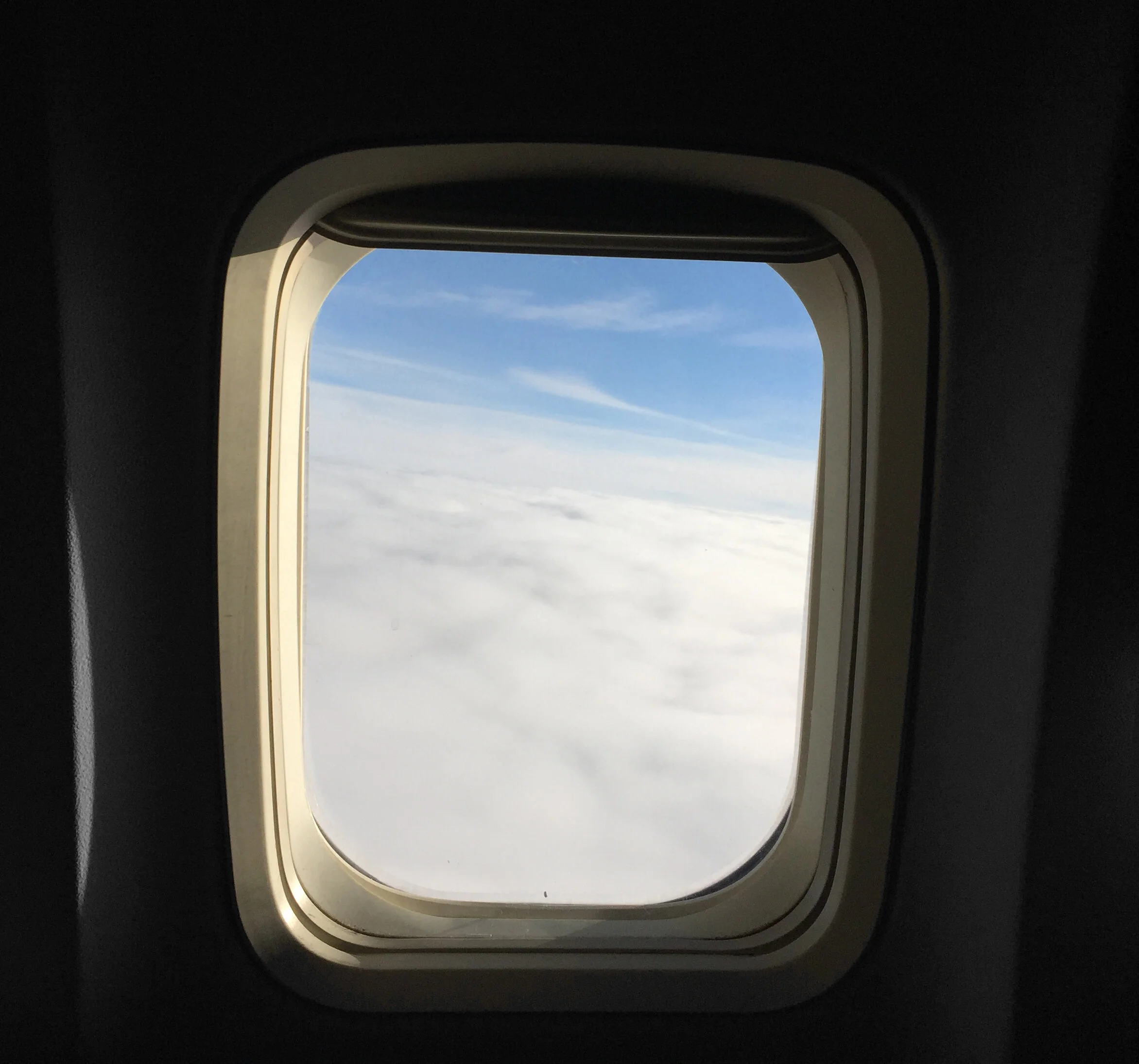 New Heights