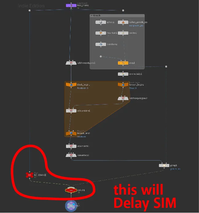 Houdini Switch node added to Growth Scene to Delay the Sim