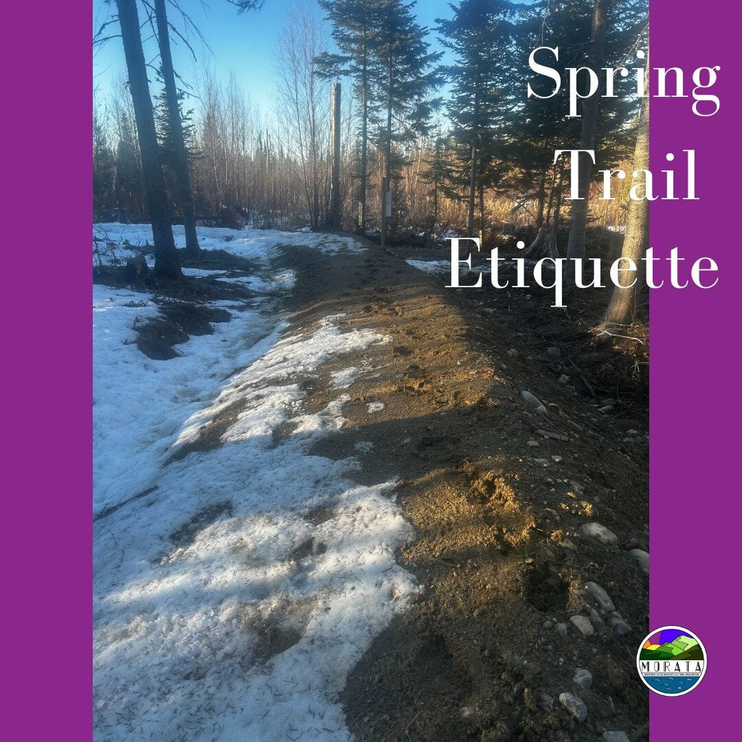 🌿 Spring Trail Reminder 🌷

Who else is loving this gorgeous early spring weather?! As much as we all want to get outside and enjoy the sunshine, this weather also means soft trail conditions. 

A few spring trail etiquette reminders:
- Avoid the tr