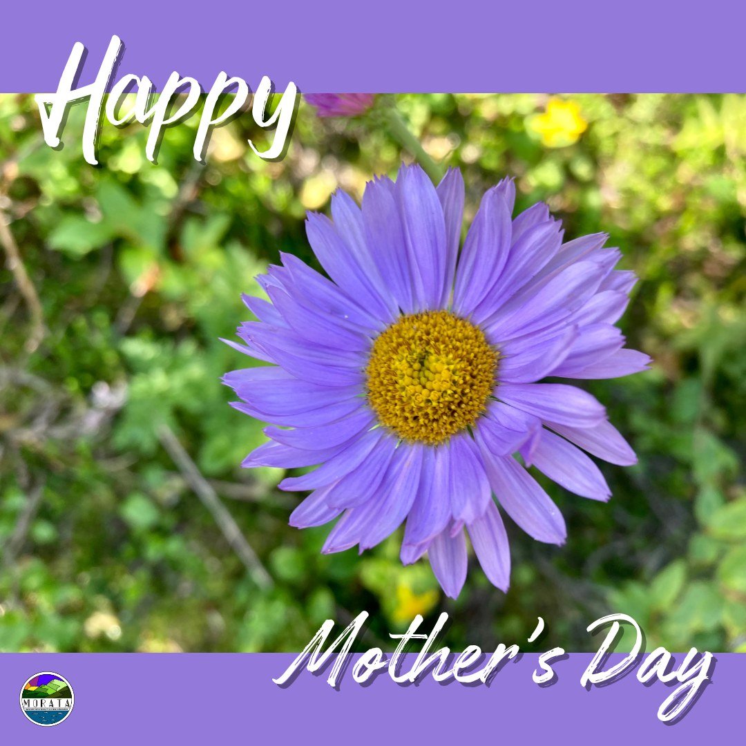 Wishing a very happy Mother's Day to all the moms out there!

#morata #moratamackenzie #mackenziebc #northernbc #mothersday #happymothersday #explorebc #runbikehike #momswhoshred