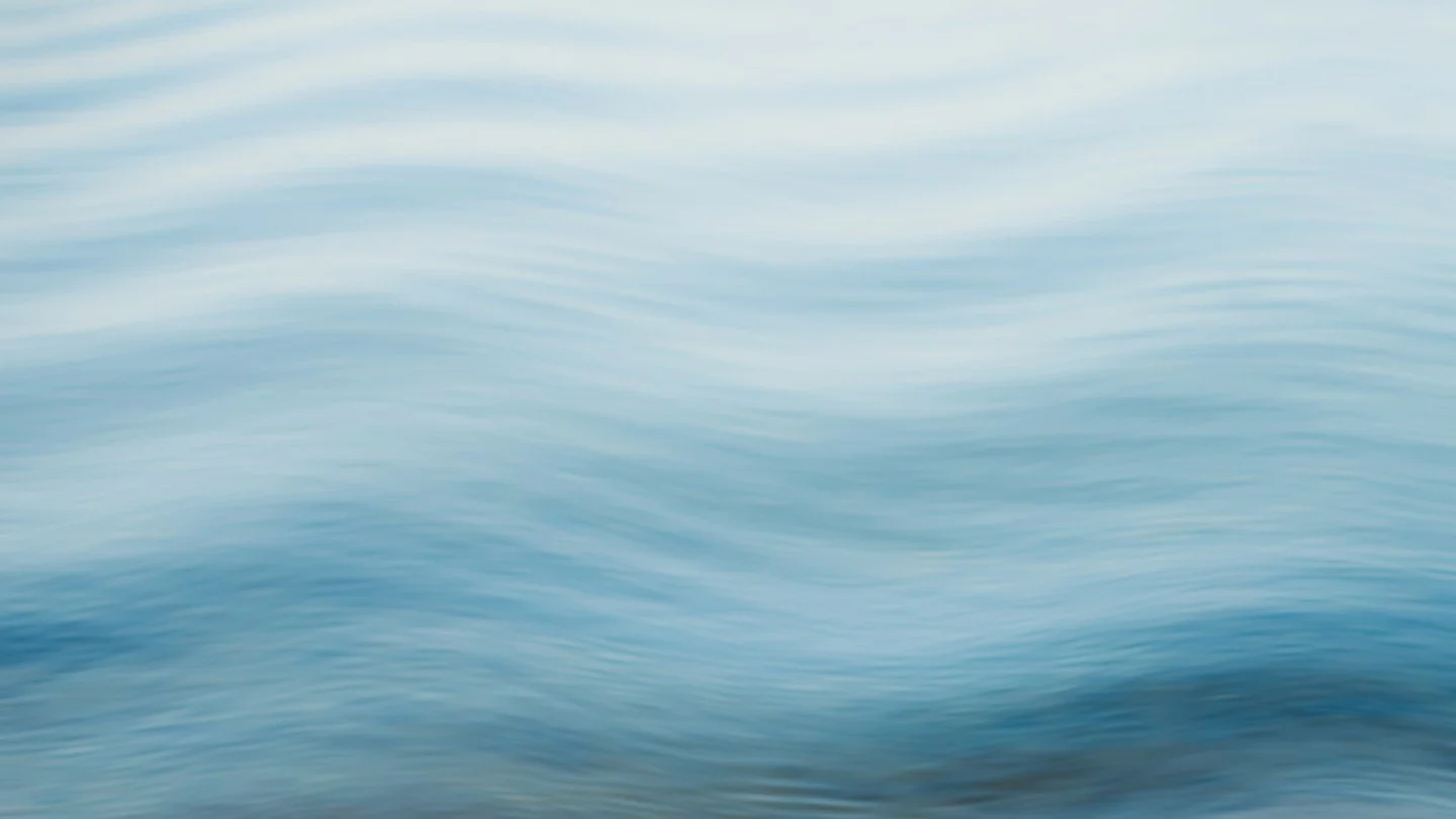 I never loved you fully in the way I could
I fought the current running just the way you would