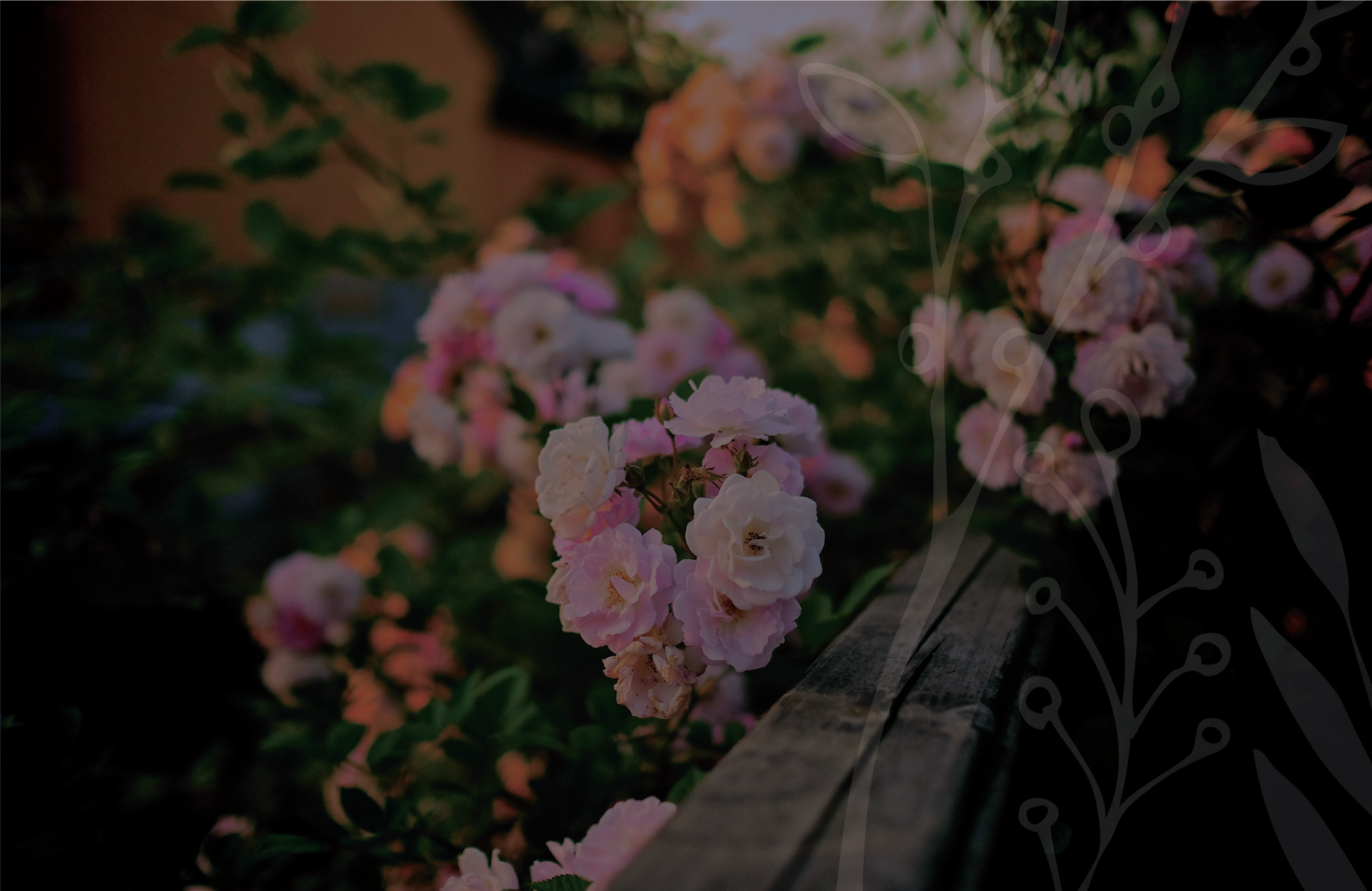 JKCC-Background (2).png