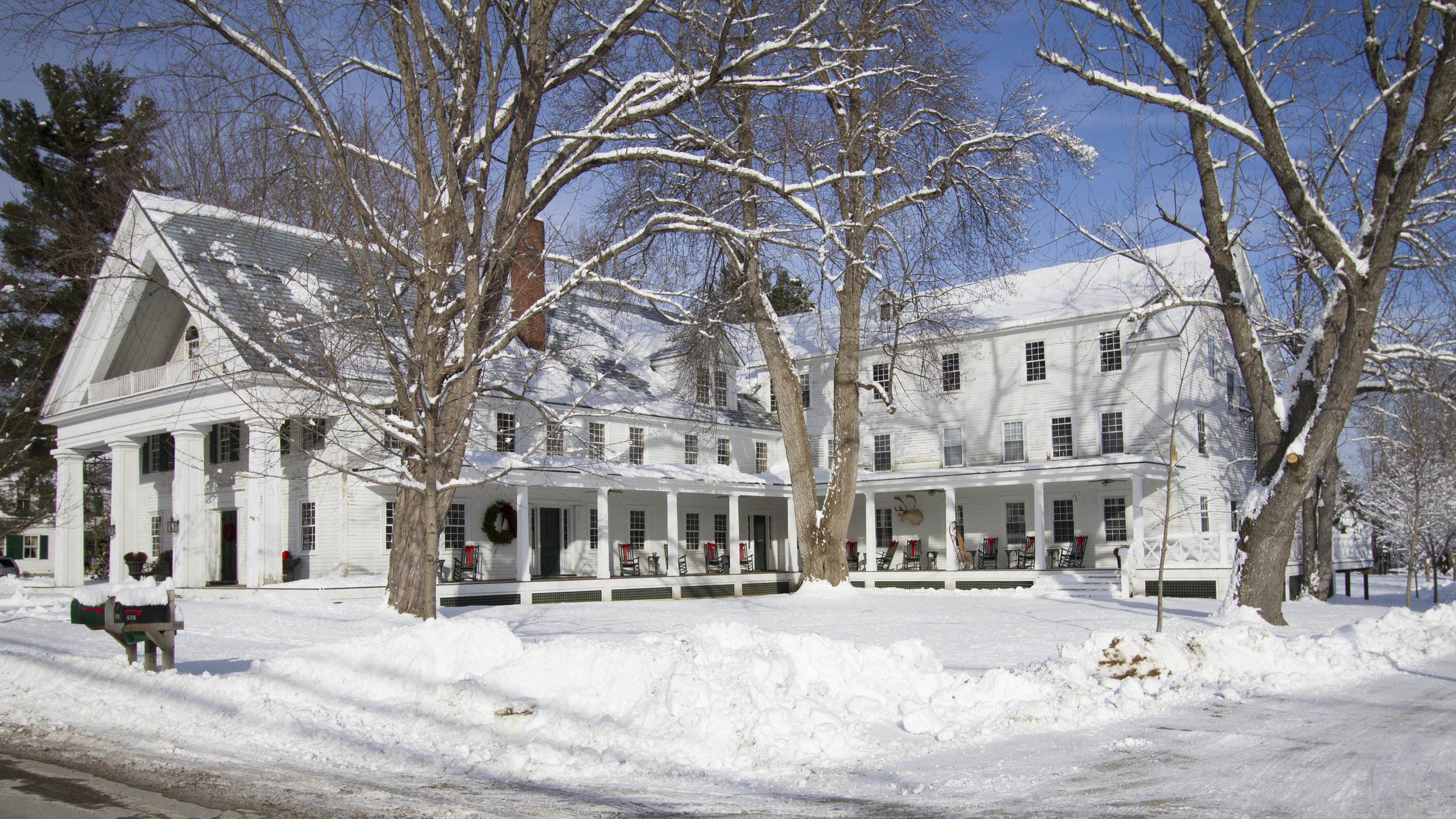 Winter wonderland