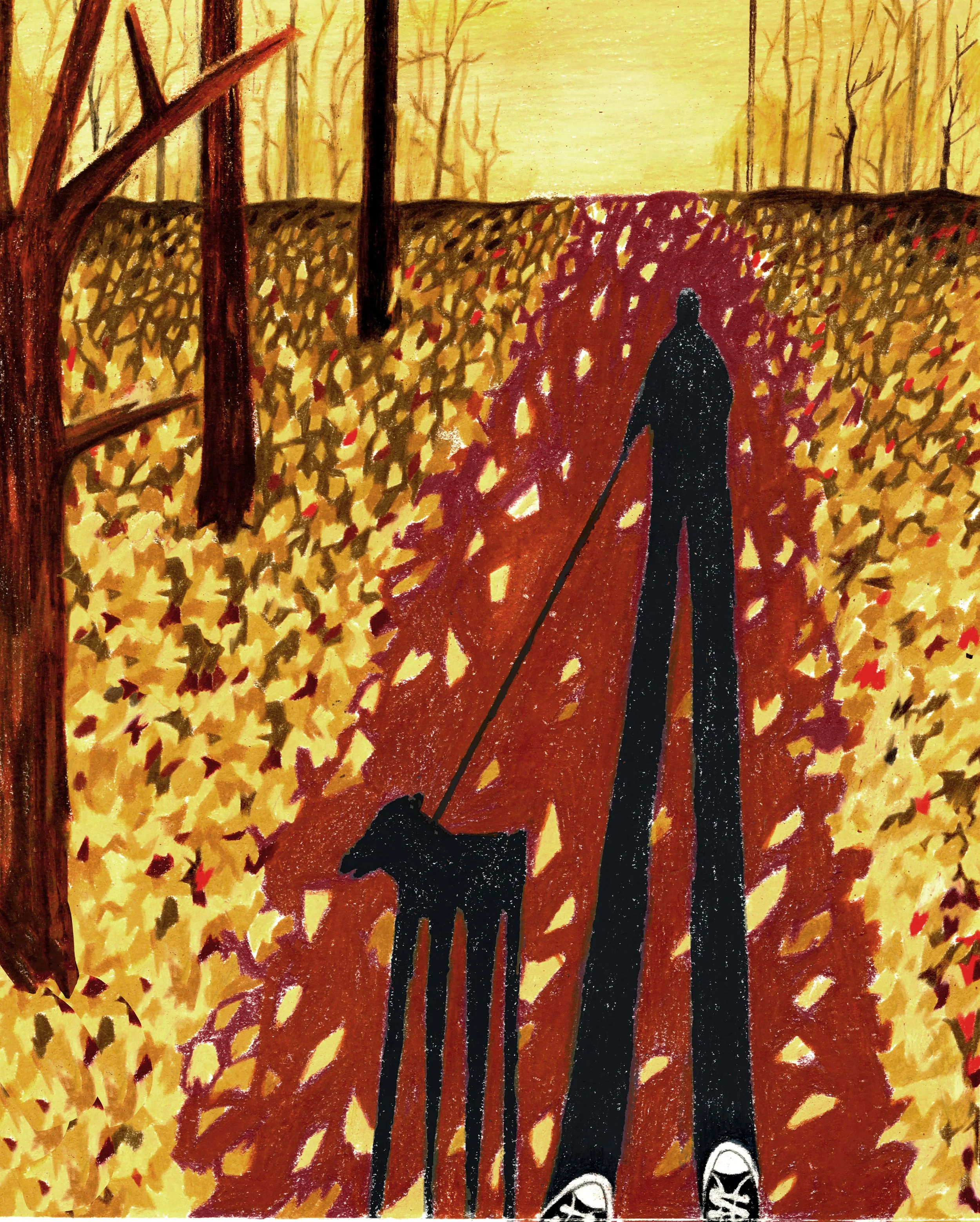 A Love Letter to Autumn Light