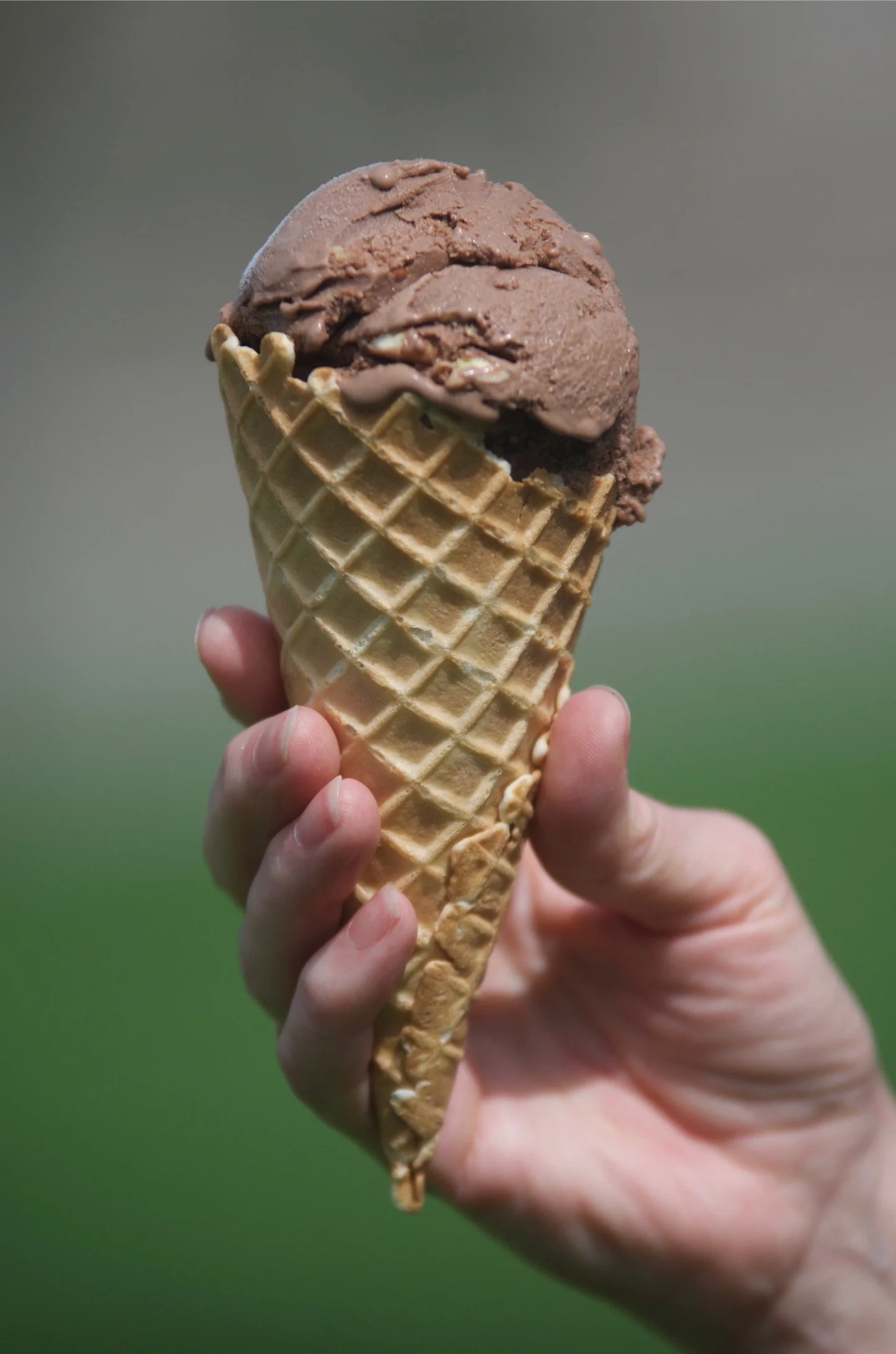 Chocolate Ice Cream