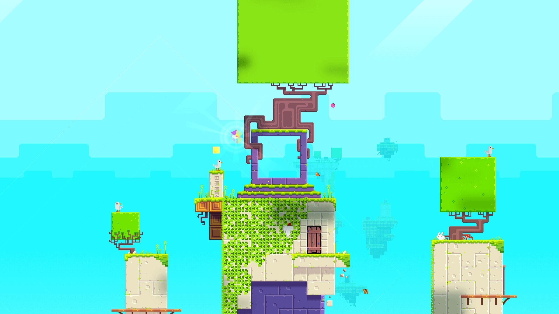 Fez (2013)