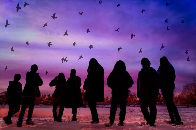 The Silhouette Project