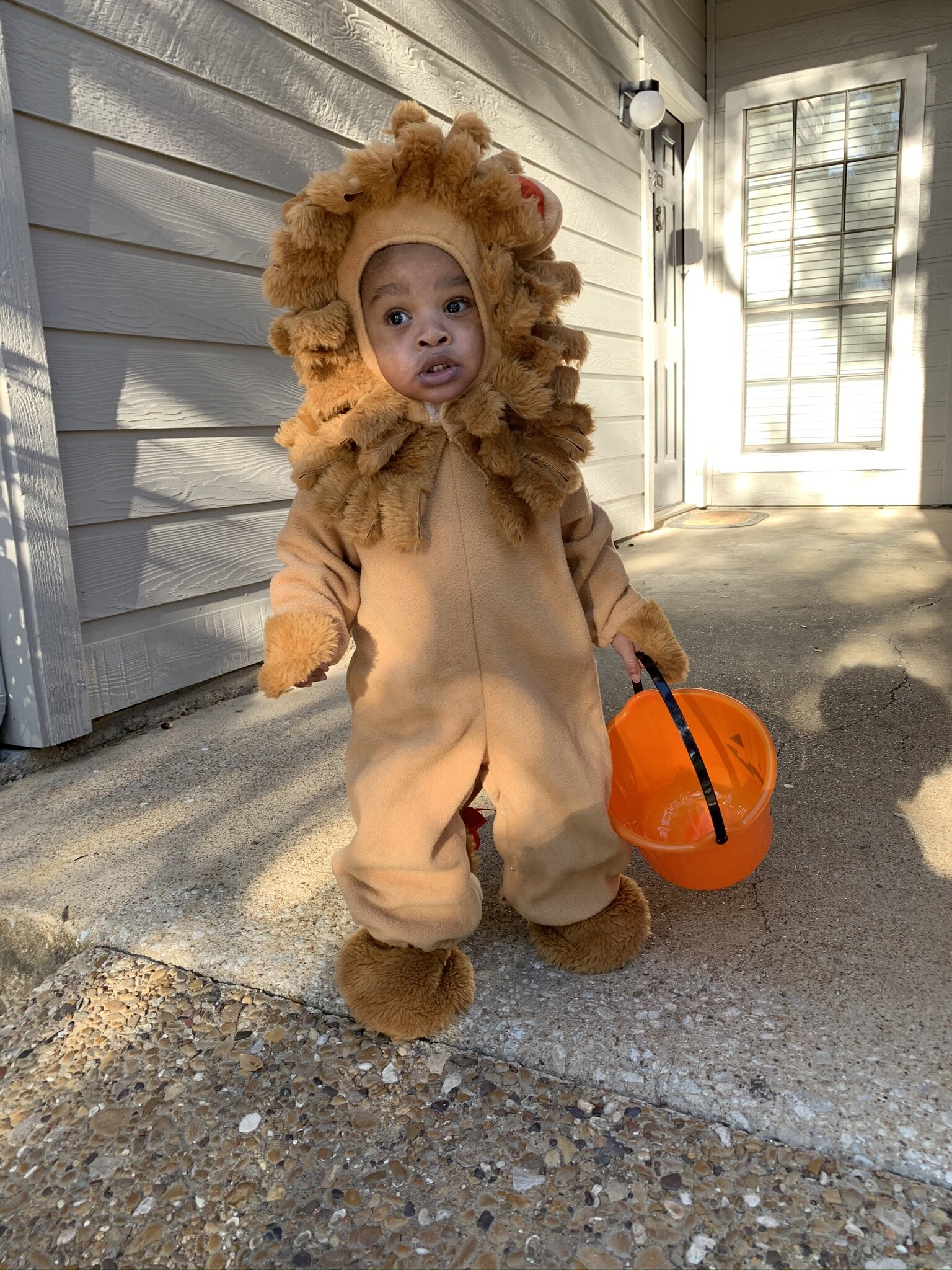 Baby Lion Costume.JPEG