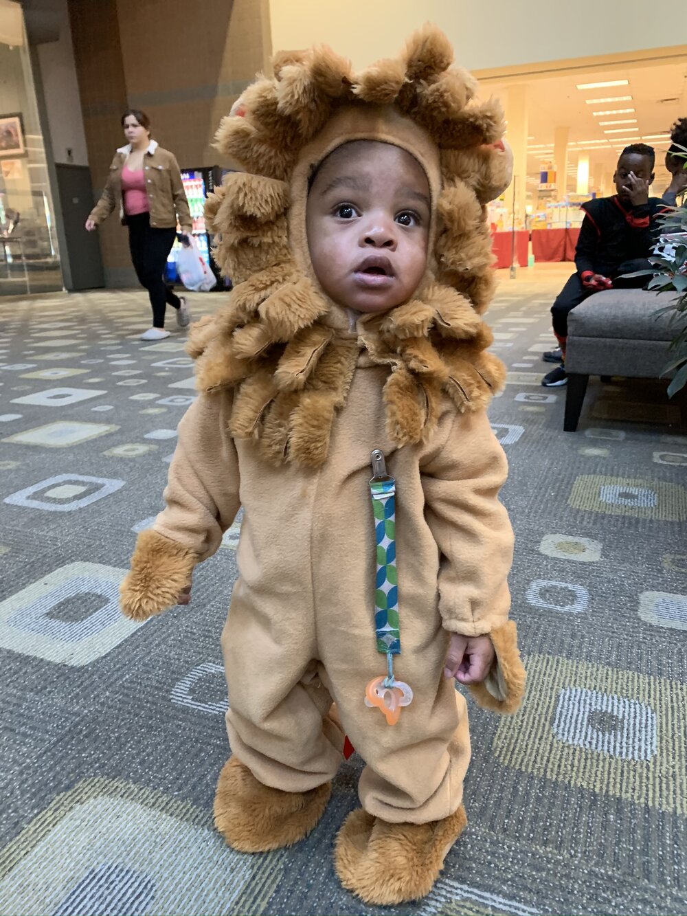 Lion Costume.JPEG