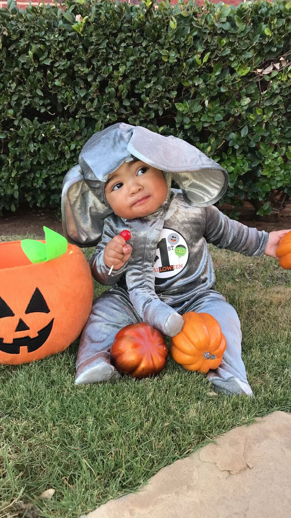 Elephant Costume.JPG