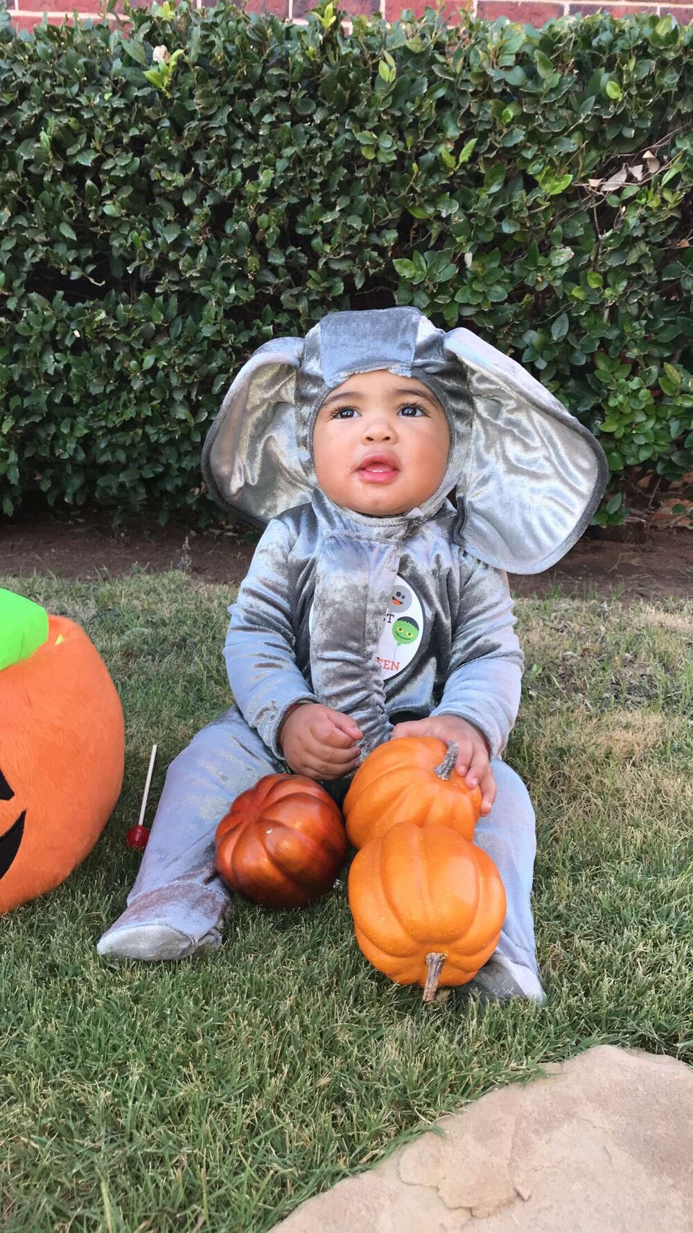 Toddler Elephant Costume.JPG