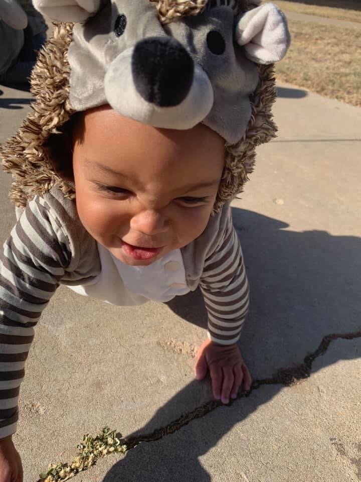 Baby Hedgehog Halloween Costume.JPG