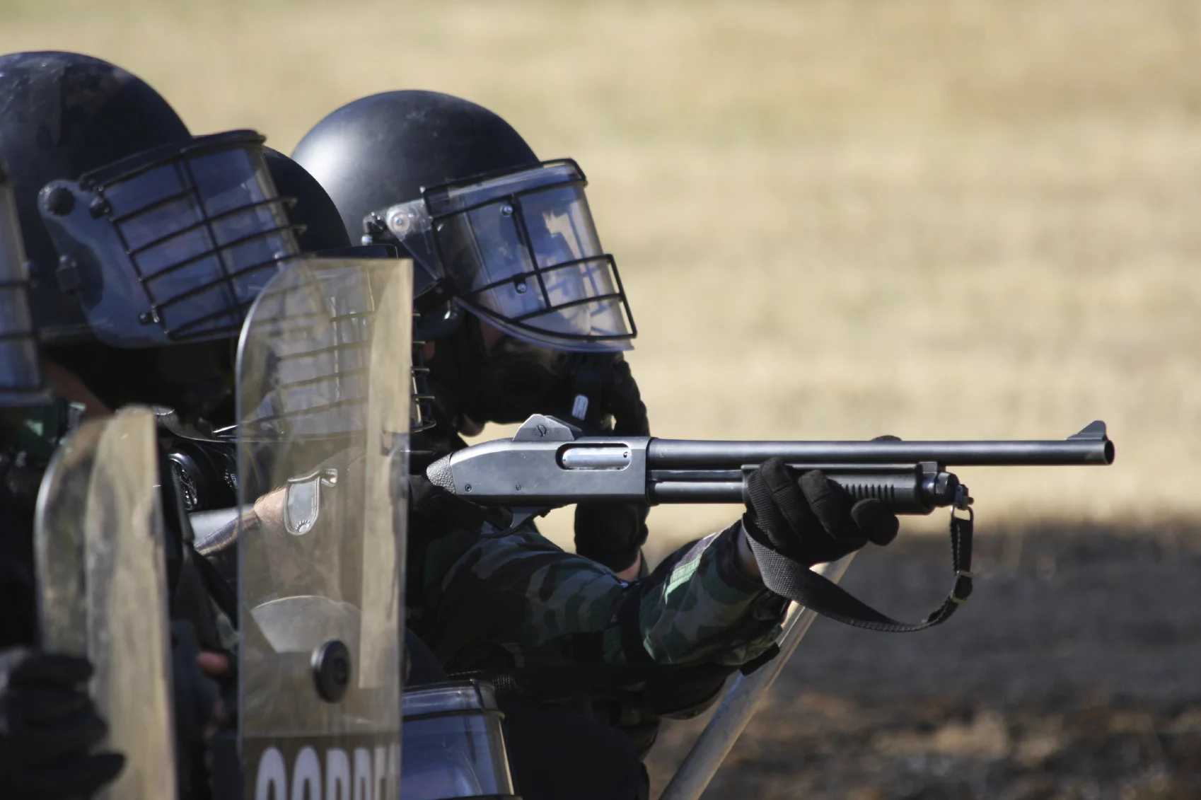 SWAT_000008527803Medium.jpg
