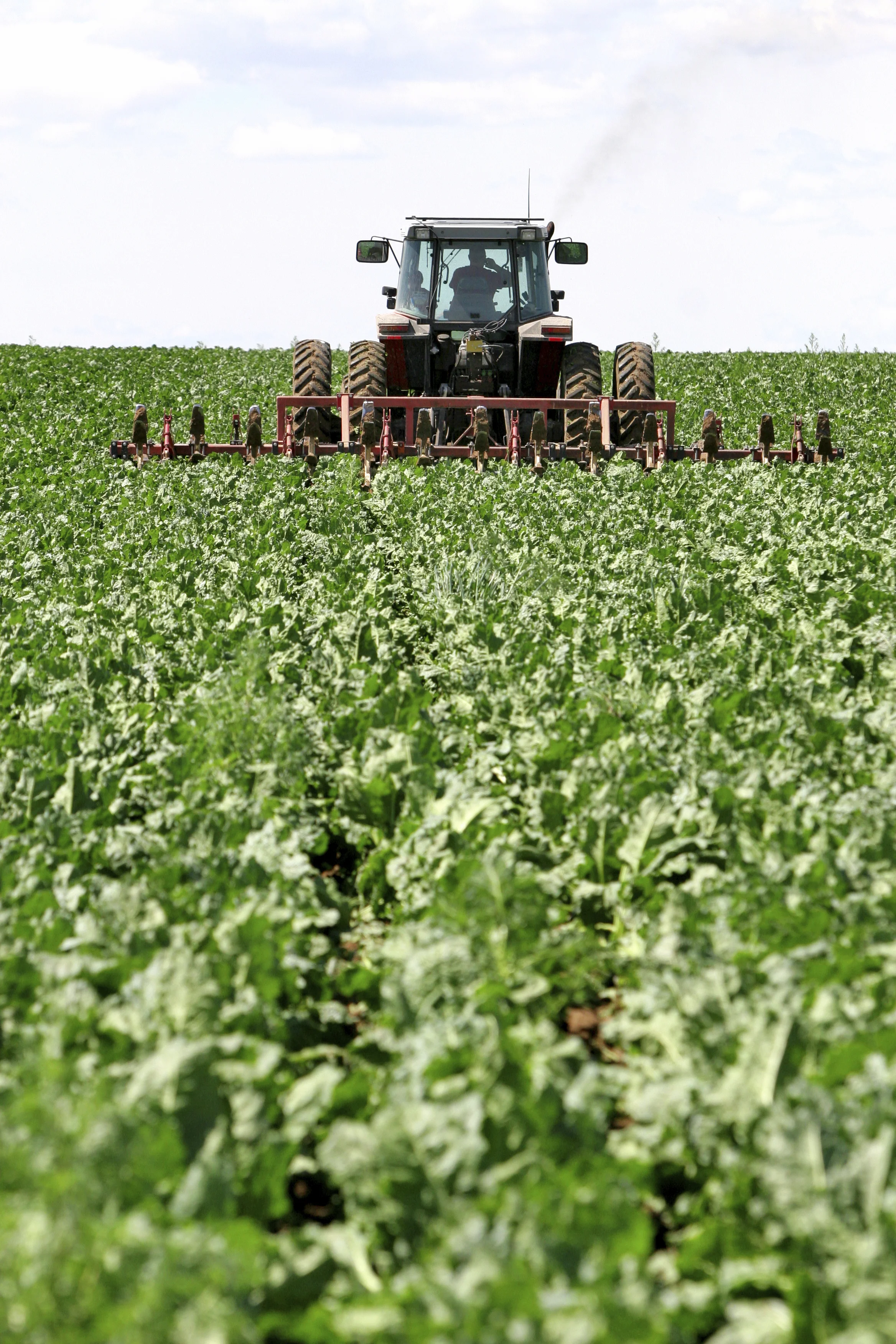 PL10_Plowing_Lg.jpg