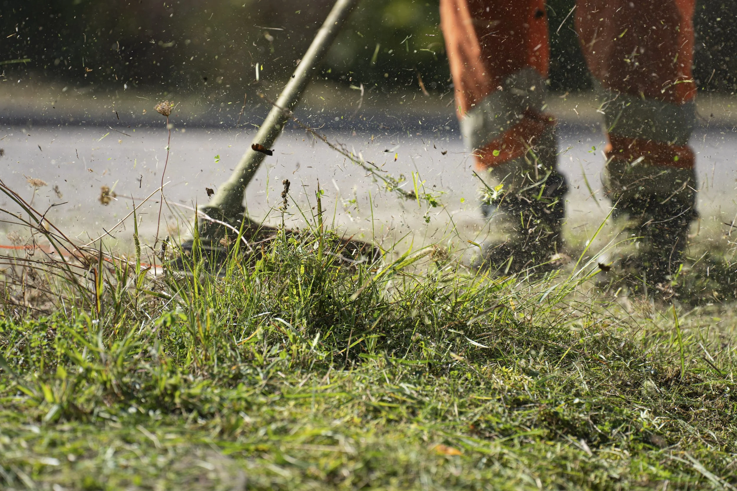A person using a string trimmer to cut tall grass and weeds near a roadside. Grass clippings scatter around the cutting area.